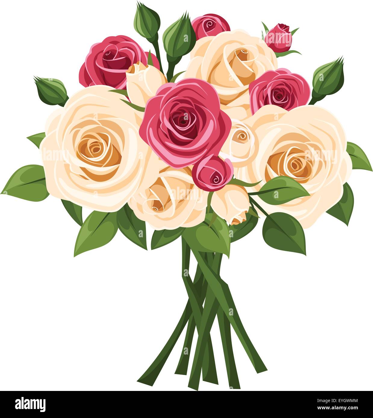 Bouquet von roten und weißen Rosen. Vektor-Illustration. Stock Vektor