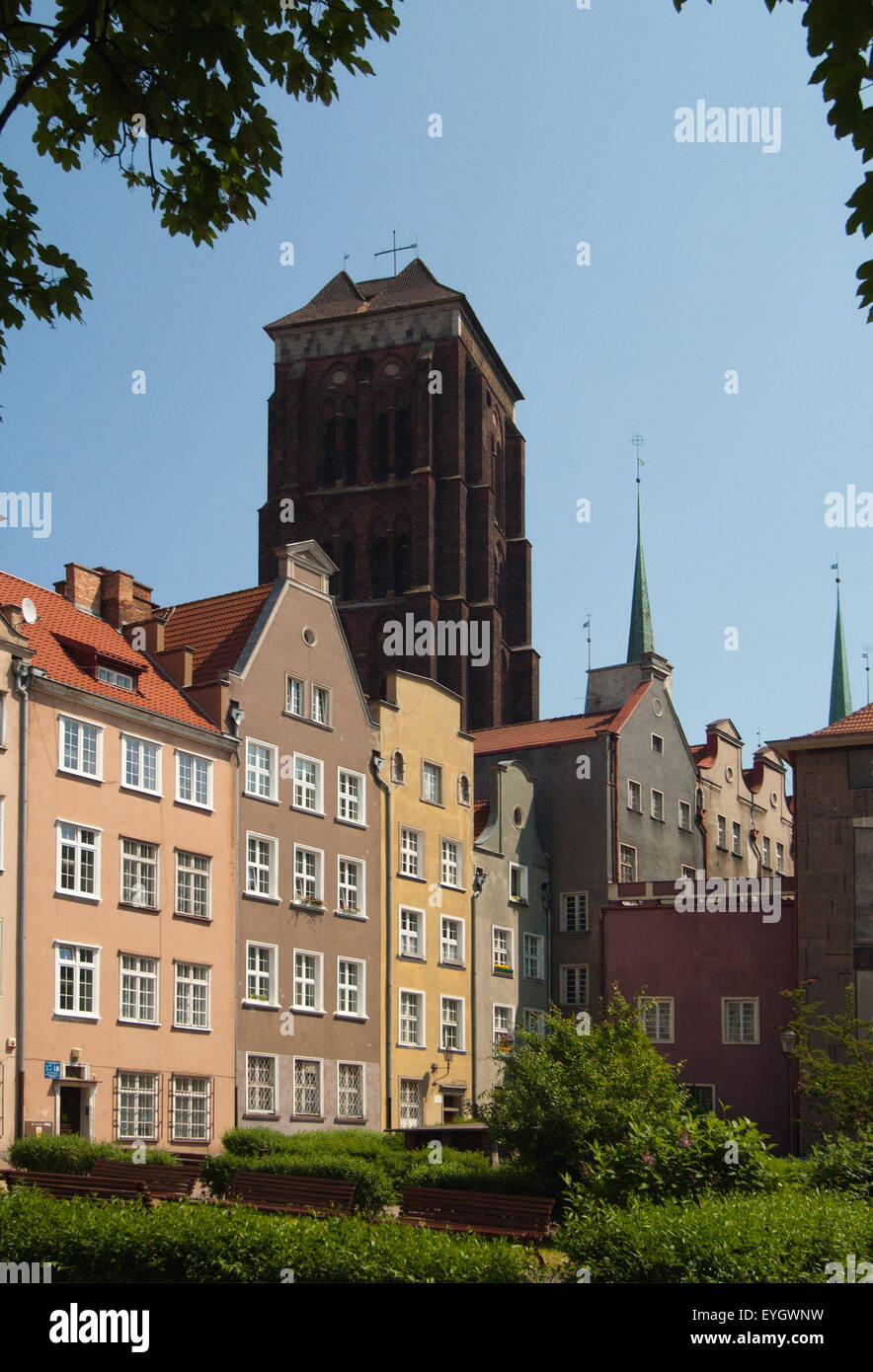 Str. Marys Kirche, Gdansk, Polen die größte Backsteinkirche der Welt. Stockfoto