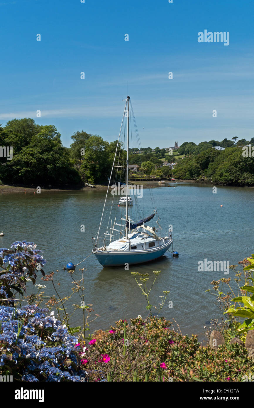 Segelboot vor Anker in der attraktiven Kingsbridge Estuary, in der Nähe der Stadt Kingsbridge, Devon, England Stockfoto