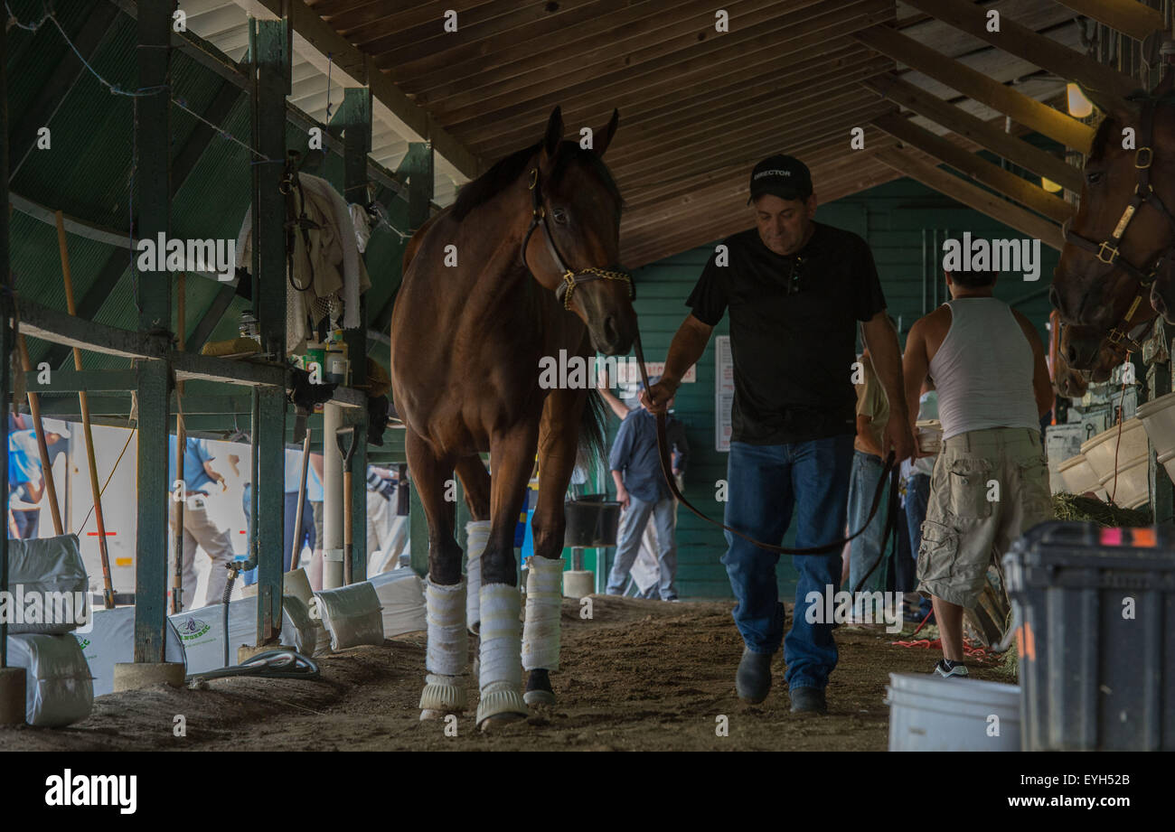 Oceanport, NJ, USA. 29. Juli 2015. Assistent Trainer JIMMY BARNES mit Triple Crown Gewinner amerikanisches PHAROAH wie er, Monmouth Park für diesen Sonntag Haskell Invitational Mittwoch, 29. Juli 2015 ankommt. Bildnachweis: Bryan Smith/ZUMA Draht/Alamy Live-Nachrichten Stockfoto