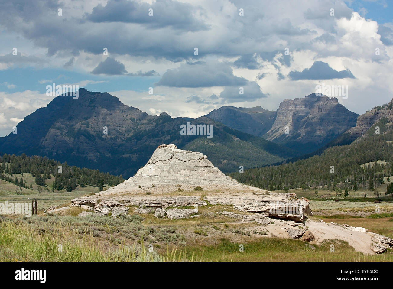 Soda Butte in das Lamar Valley, Yellowstone-Nationalpark Stockfoto