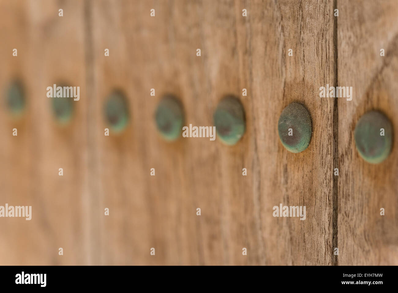 Eine Makroaufnahme altes Kupfer Nägel welche haved gedrehte grün durch Oxidation auf einer alten Holztür. Stockfoto