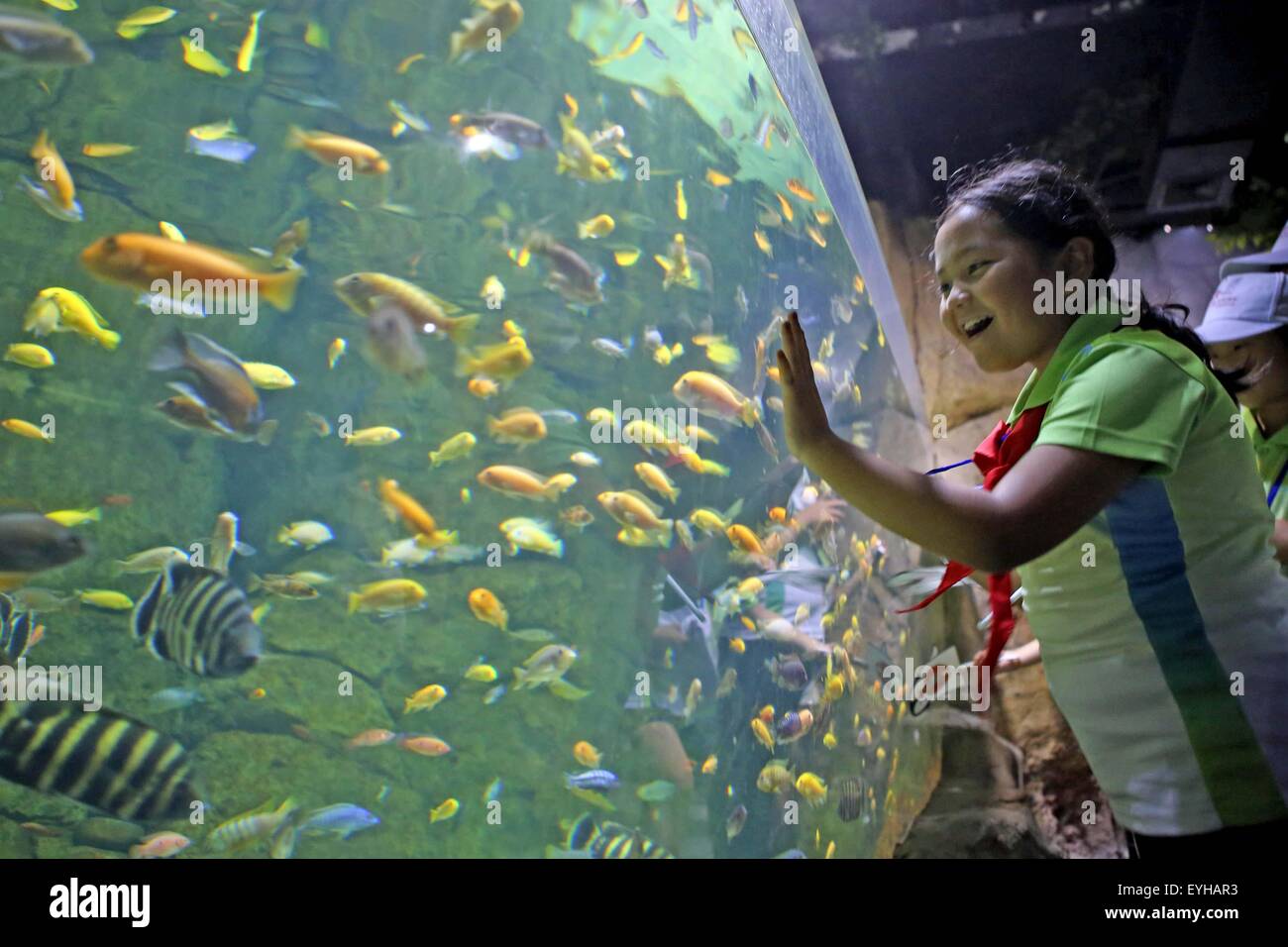 Zhengzhou, China Henan Provinz. 28. Juli 2015. Eine Mädchen Uhren Fische in Zhengzhou Aquarien während ein Sommercamp in Zhengzhou, Hauptstadt der Provinz Zentral-China Henan, 28. Juli 2015. Kinder von Hami Xinjiang trat in Henan in einem Sommer camp, welches ab Juli 26. © Cai Zengle/Xinhua/Alamy Live-Nachrichten Stockfoto