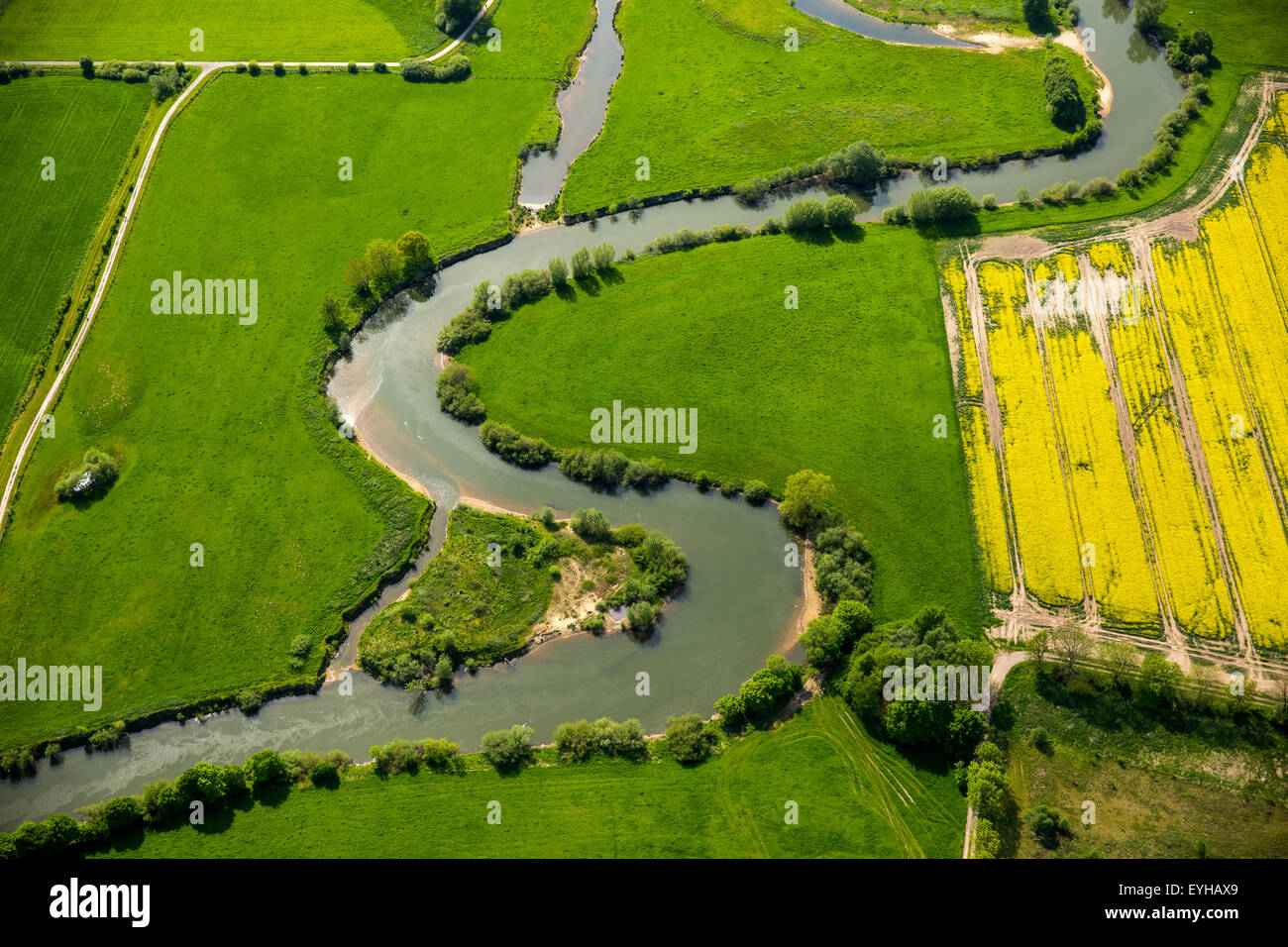 Renaturierung, Mäander des Flusses Lippe, LIFE + Projekt Lippeaue, Hamm, Ruhrgebiet, Nordrhein-Westfalen, Deutschland Stockfoto
