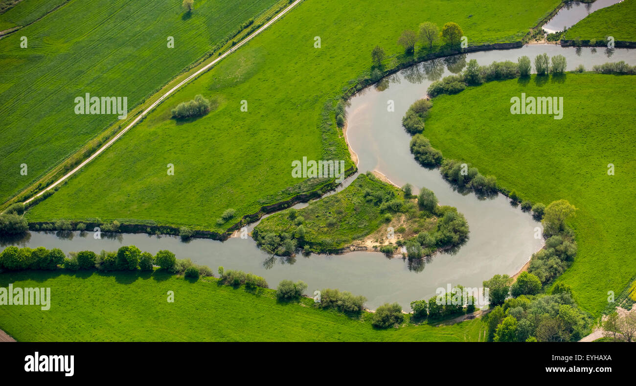 Renaturierung, Mäander des Flusses Lippe, LIFE + Projekt Lippeaue, Hamm, Ruhrgebiet, Nordrhein-Westfalen, Deutschland Stockfoto