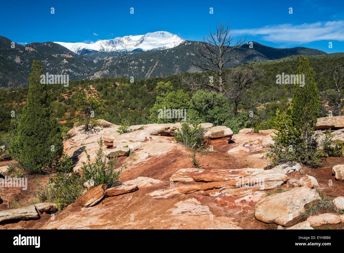 Die Felsformationen der Garten der Götter National Natural Landmark und Pikes Peak, in der Nähe von Colorado Springs, Colorado, USA Stockfoto