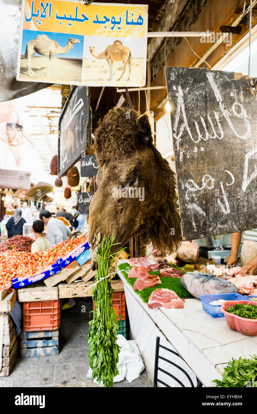 Metzgerei mit Kamelfleisch, Souk, Fes, Marokko Stockfoto