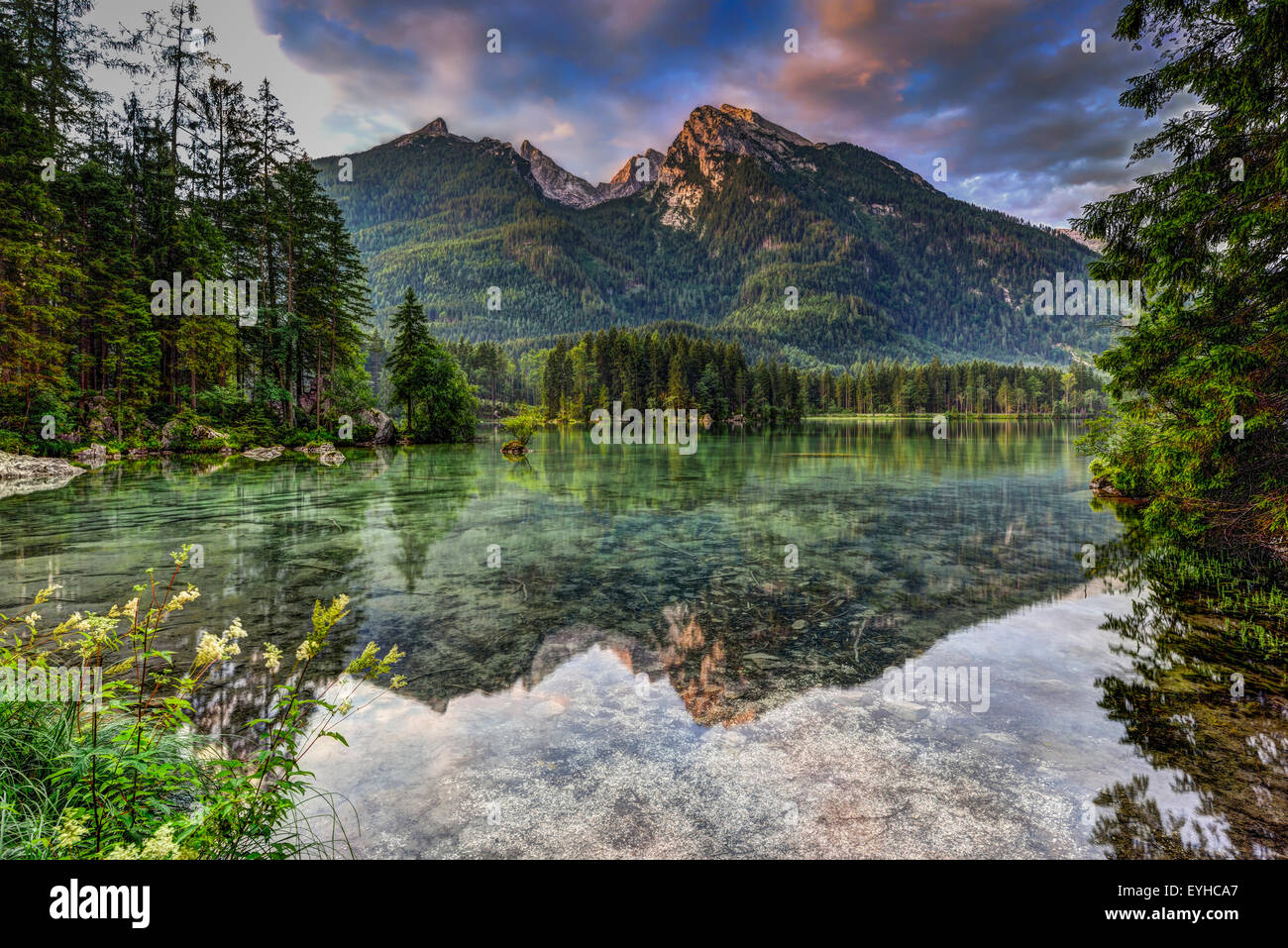 Alpen, See Hintersee im ersten Licht (im Juli). Stockfoto