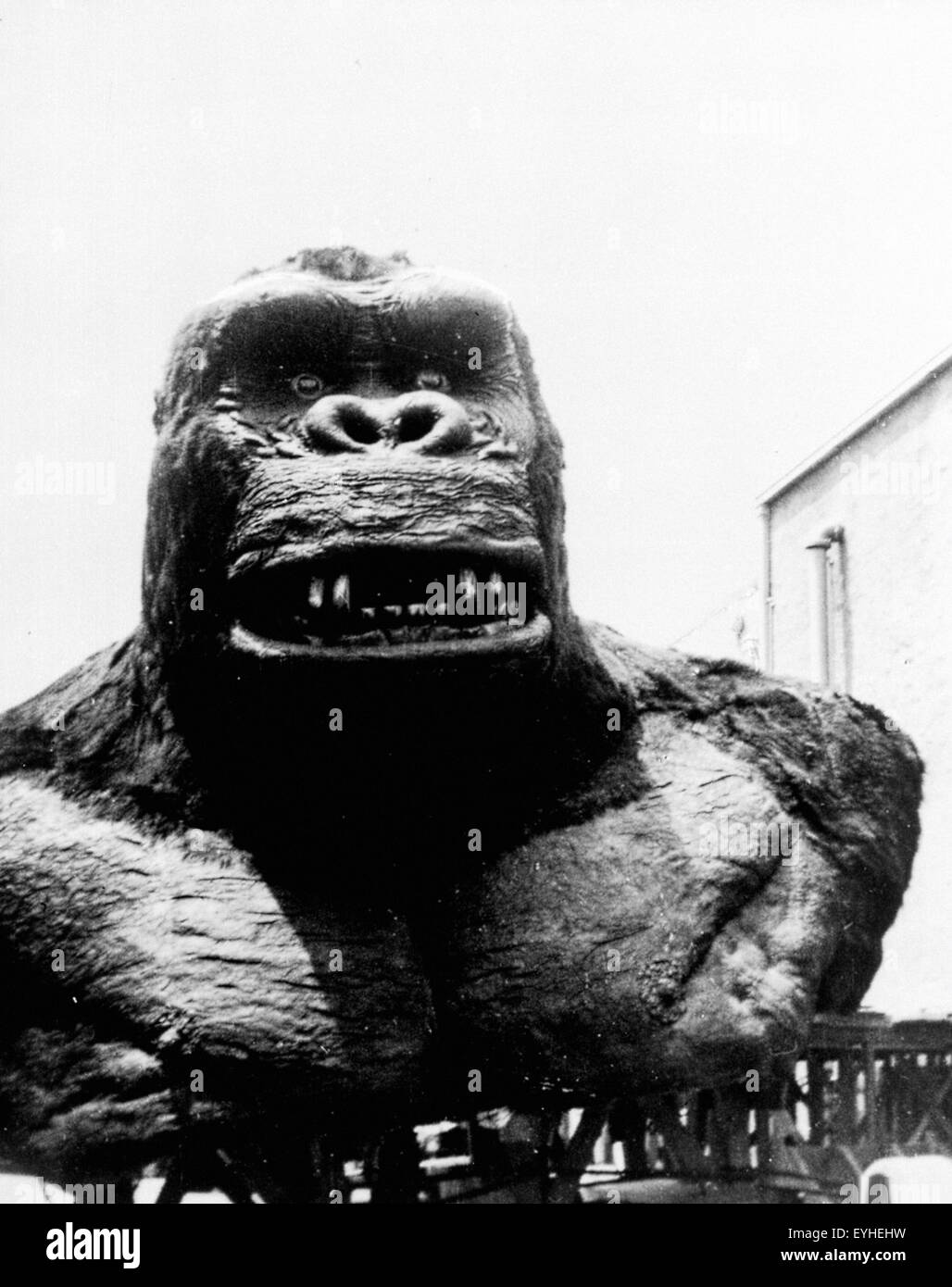 King kong 1933 movie poster SchwarzweißStockfotos und bilder Alamy