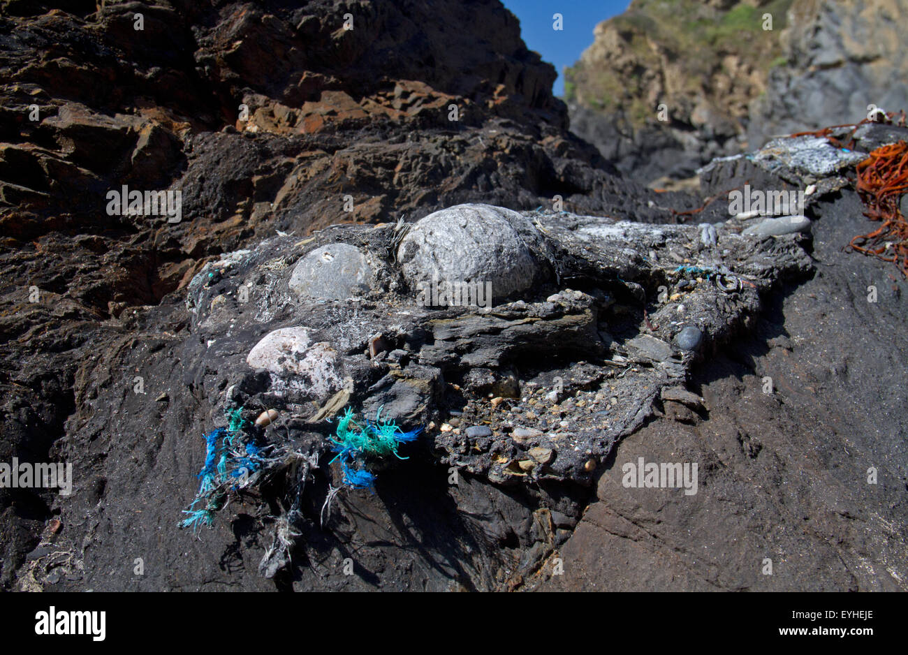 Relikt der Amoco Cadiz Ölpest im Jahr 1978: eine Asphalt-Kruste auf er Felsen an der Küste der Bretagne in Frankreich Stockfoto
