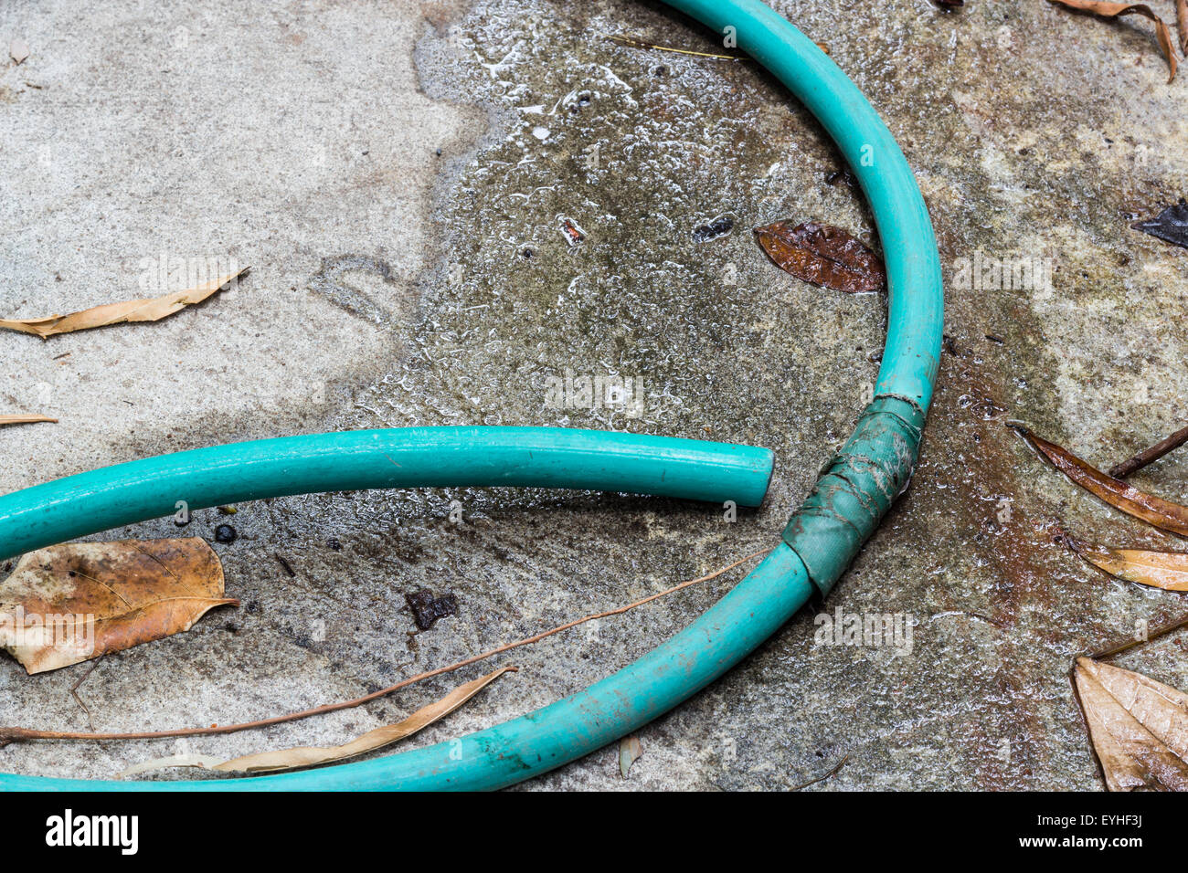 Grünes Wasserschlauch auf dem Zement-Boden undicht Stockfotografie - Alamy