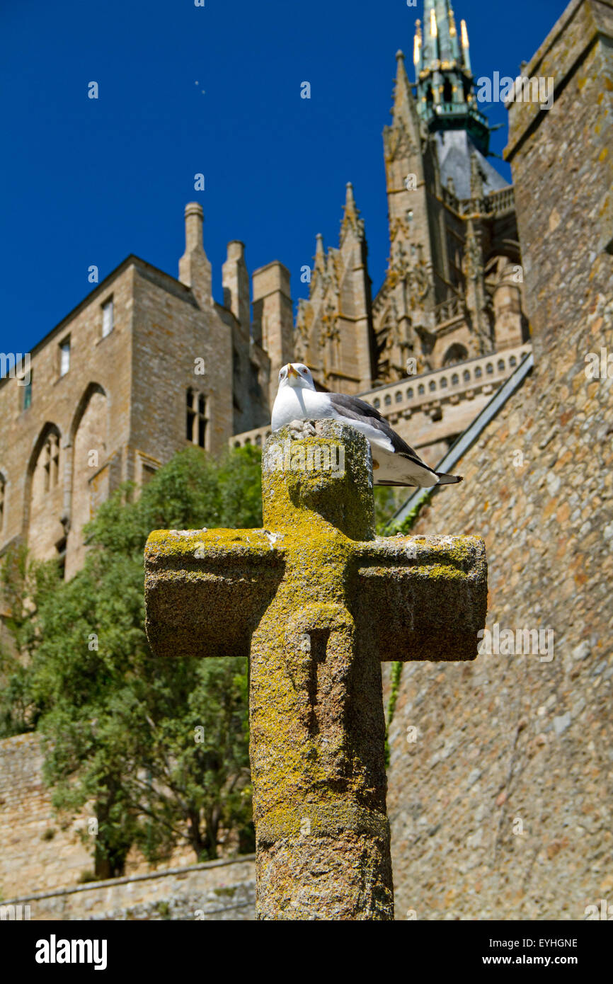 Möwe auf ein altes steinernes Kreuz auf dem Friedhof der Insel Le Mont Saint-Michel Stockfoto