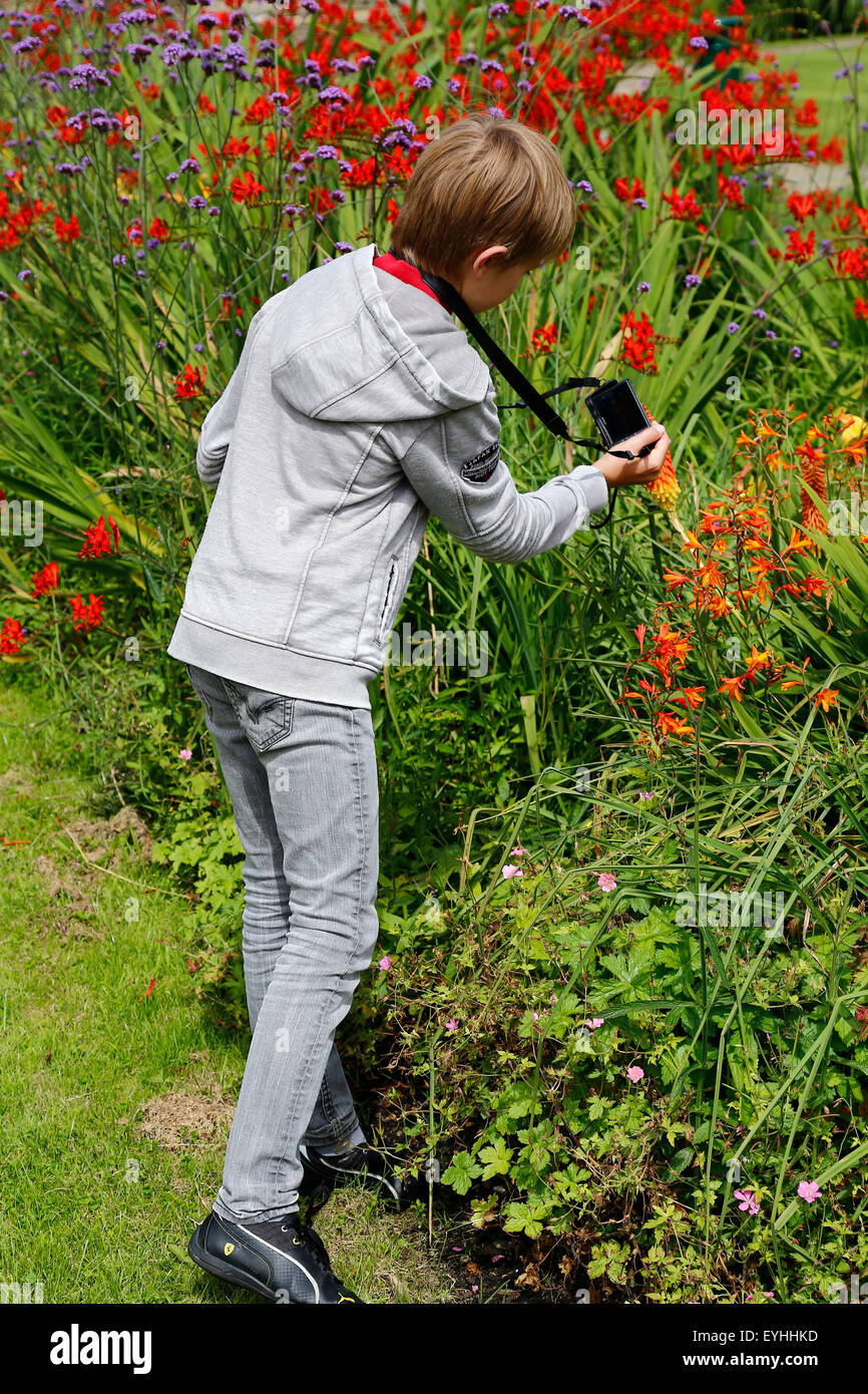 junge nimmt Bild von Blumen im Garten Stockfoto