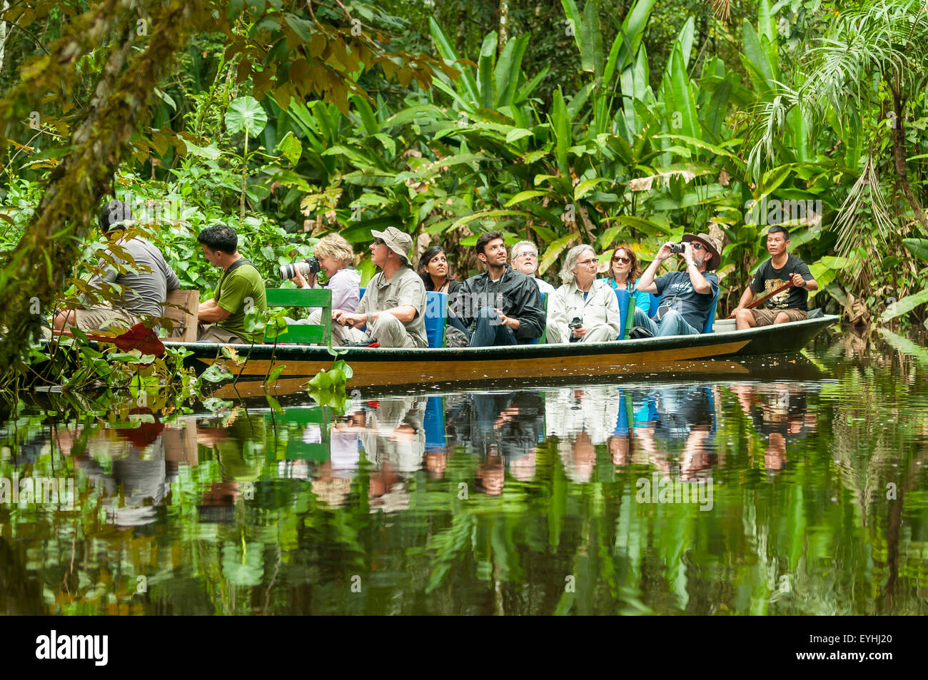 Kanu-Safari auf dem Napo Fluss Creek, Yasuni NP, Ecuador Stockfoto