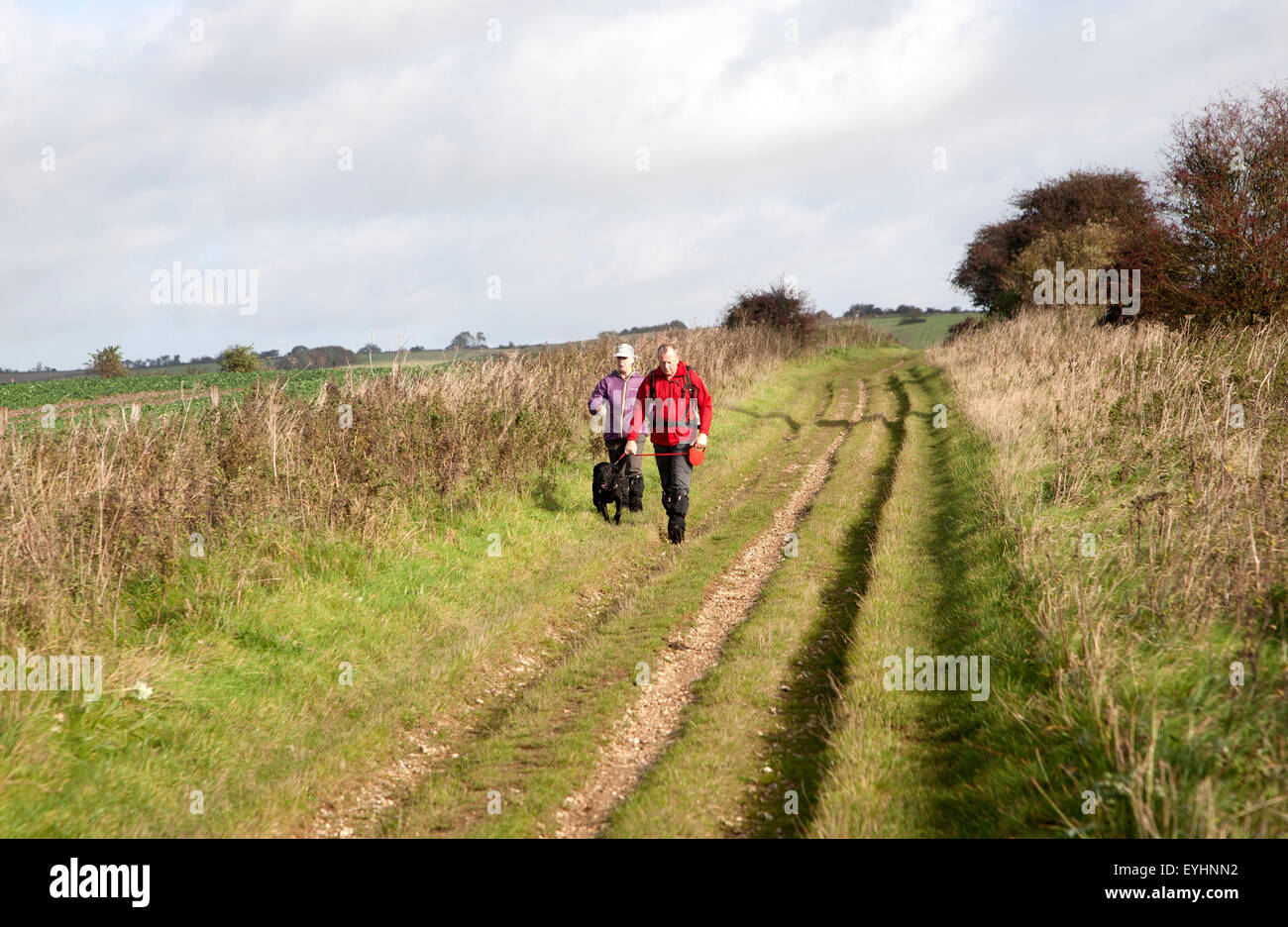 Der Ridgeway Langstrecken-Wanderweg aus Vorgeschichte auf Overton Hill, Marlborough Downs, Wiltshire, England, UK Stockfoto