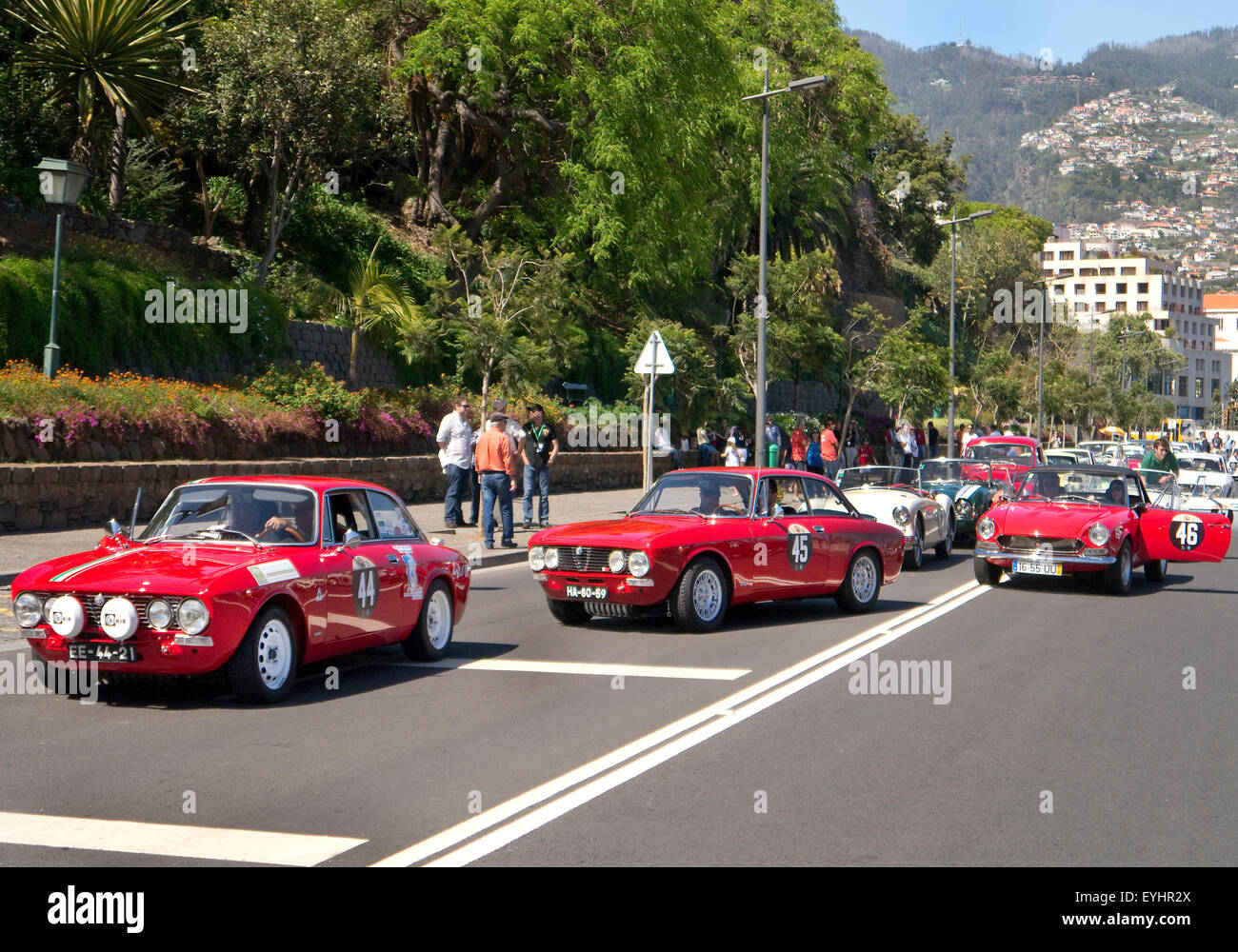 Oldtimer Alfa Romeo GTA und GTV Teilnahme an den Madeira-Hügel zu klettern, in Funcal Stockfoto