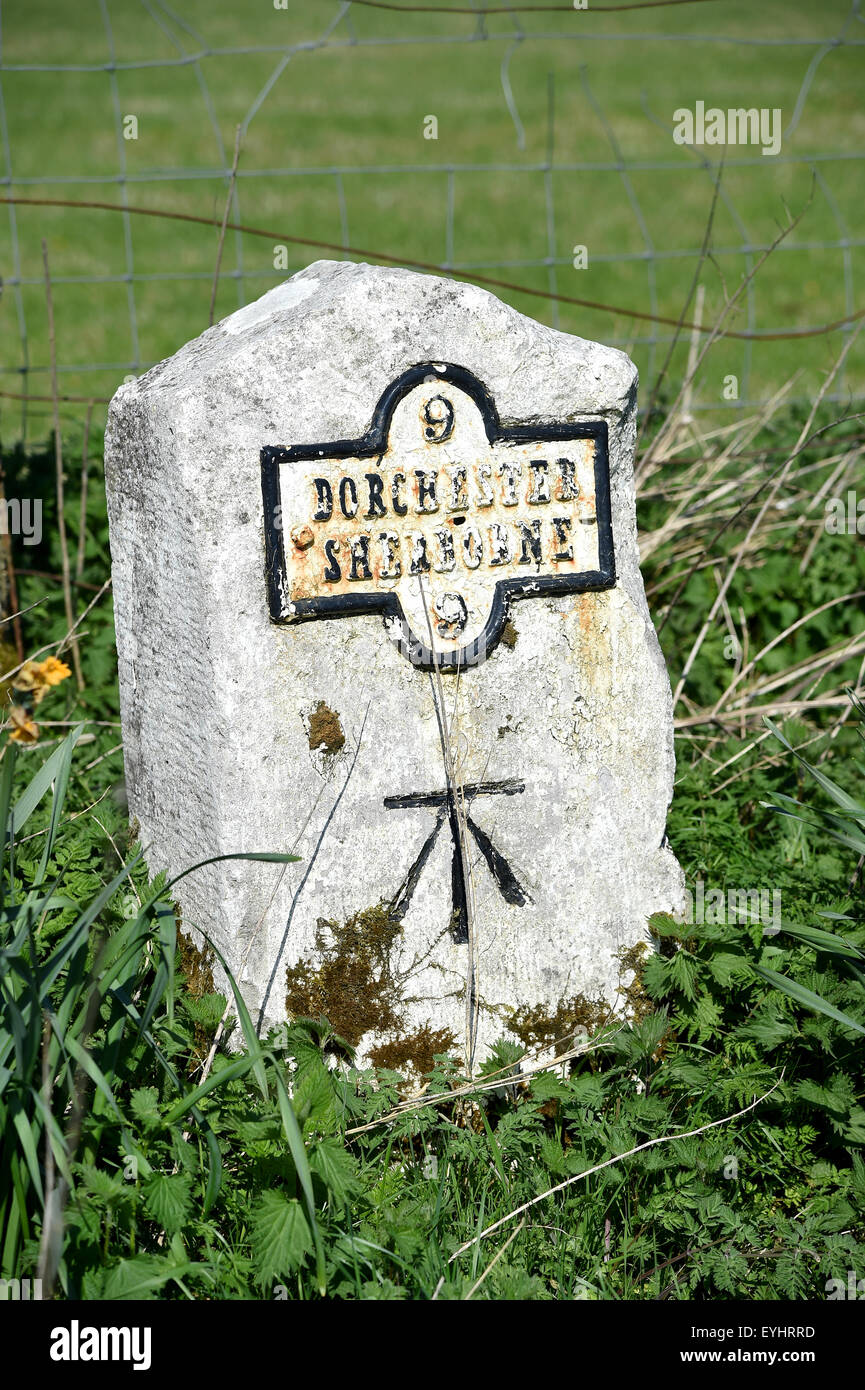 Meilenstein, Markierung der Grenze, Grenzstein, Grenzstein oder Grenzstein, Dorset, England, UK Stockfoto