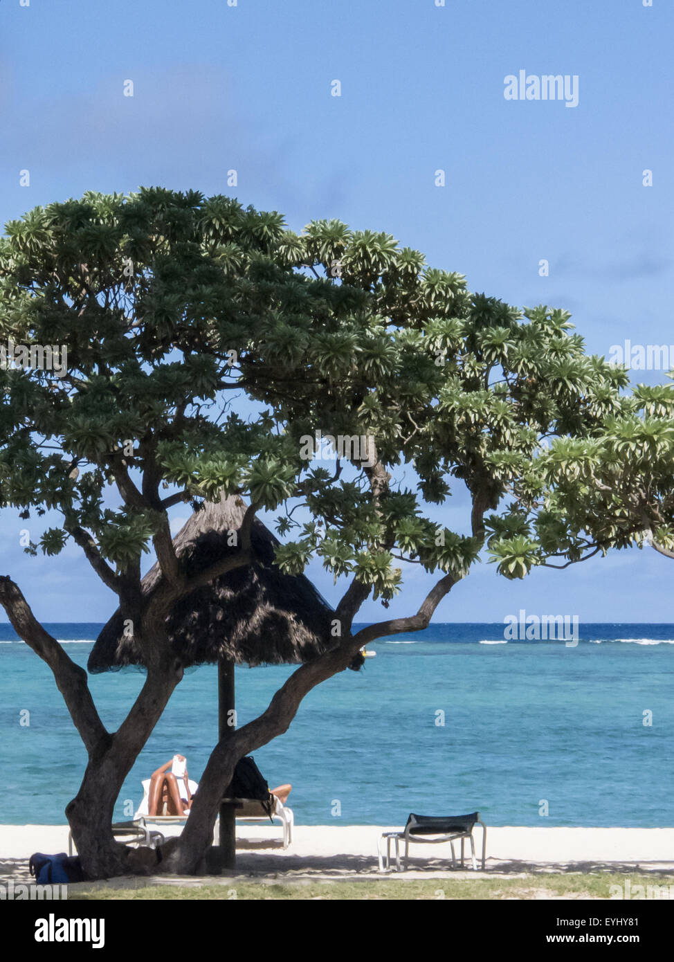 Flic En Flac, Mauritius. La Pirogue Touristenort. Sonnenliege, Baum und das Meer. Stockfoto