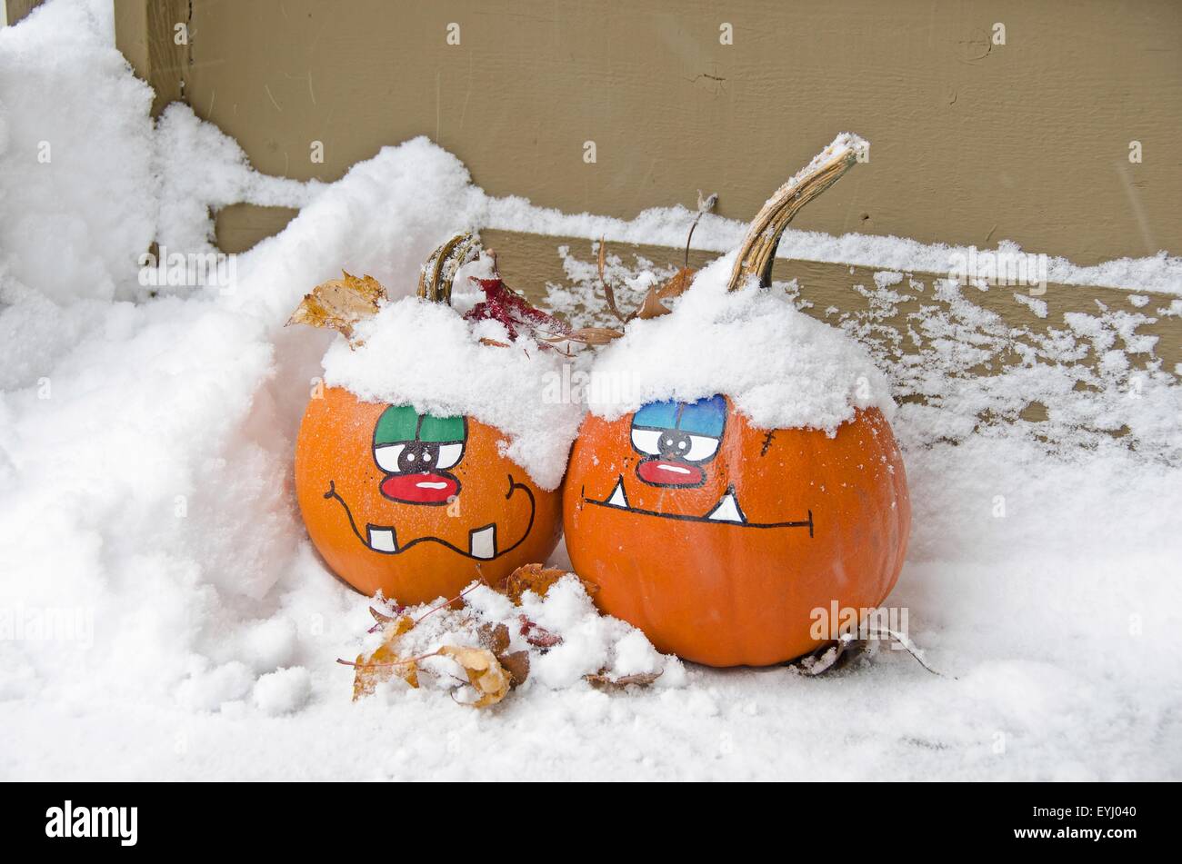 Paar Halloween Kürbisse bemalt mit Schnee und Laub bedeckt. Stockfoto