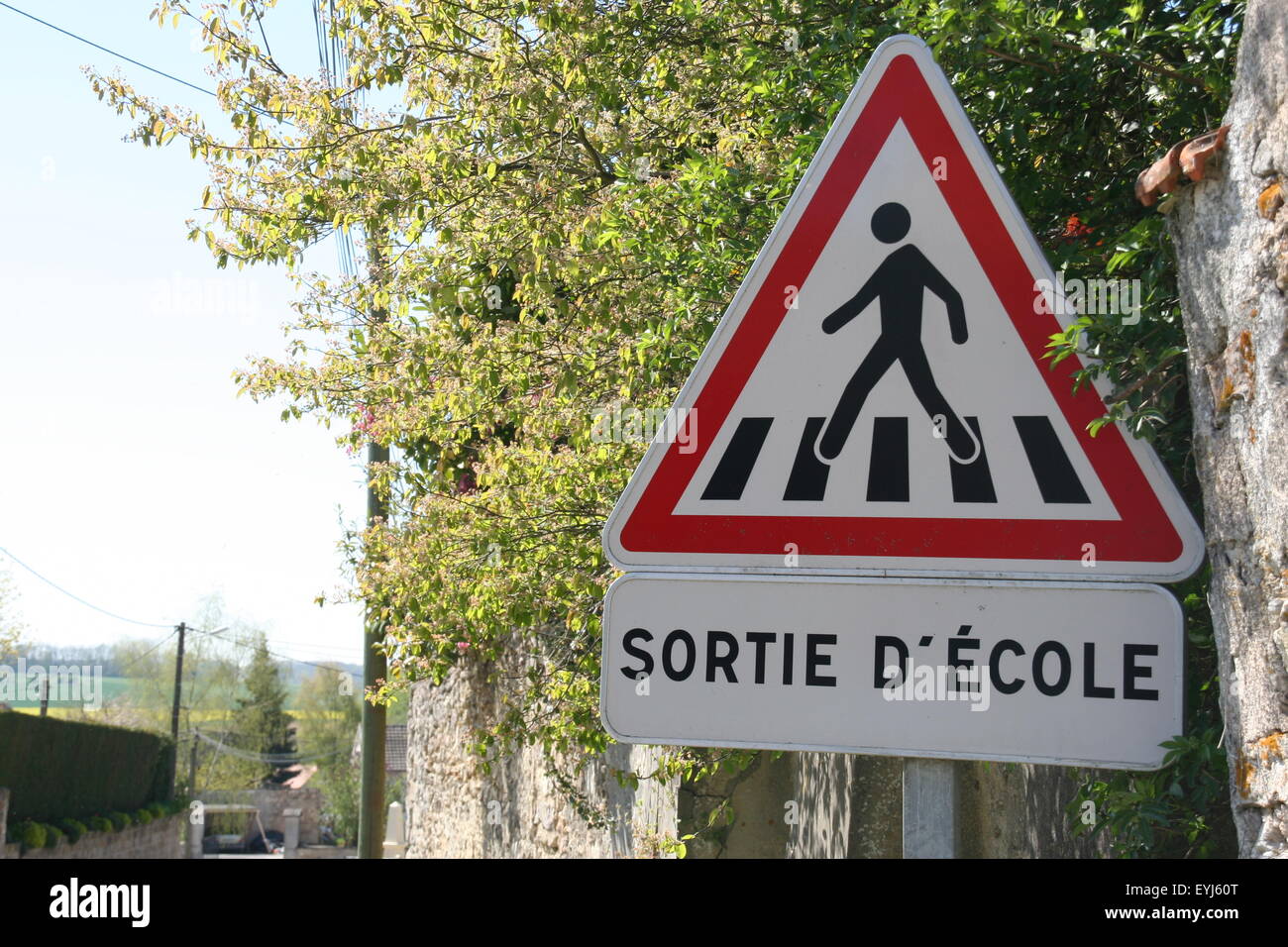 Schule Kreuzung Zeichen, Region Champagne, Frankreich. Stockfoto