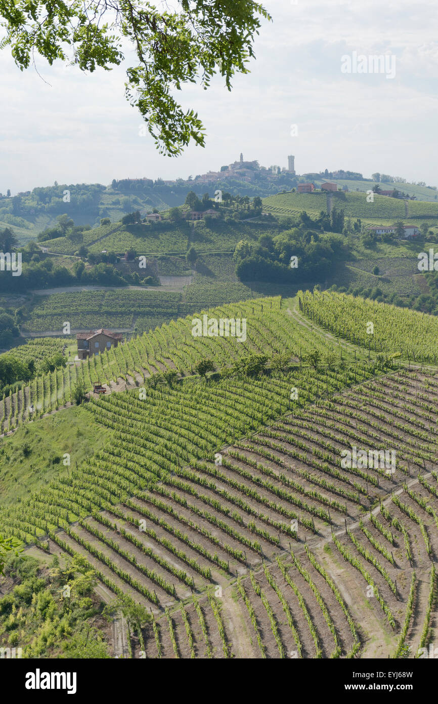 Italien, Panorama über die Weinberge des Piemonts: Langhe Roero und Monferrato auf der UNESCO-Welterbe Liste Stockfoto