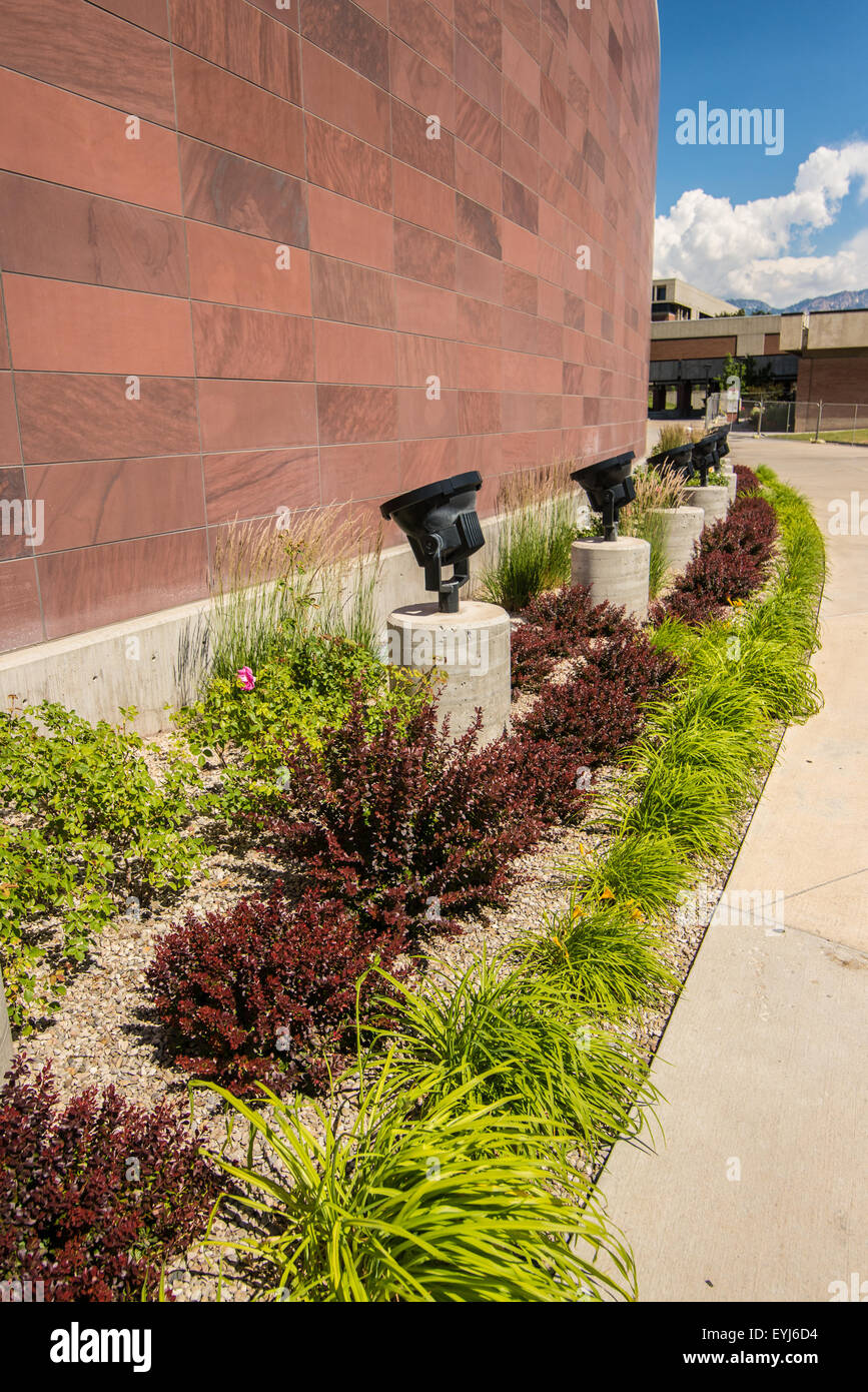 Xeriscape Landschaftsgestaltung um der University of Utah, mit Trockenheit resistente Pflanzen und einheimischen Arten. Stockfoto