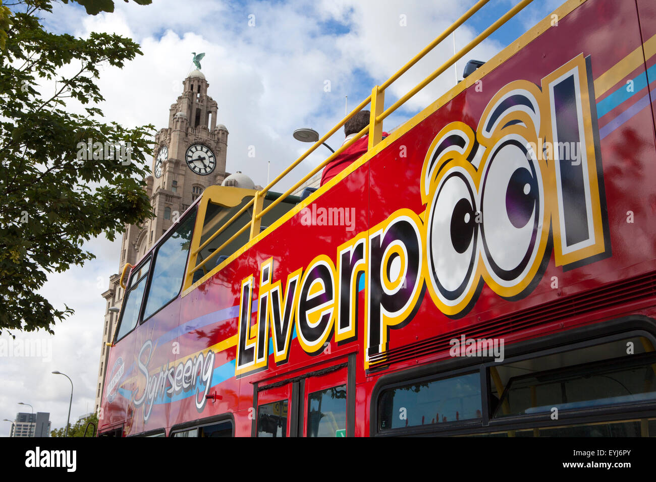 Touristischen Sightseeing-Busse parken außerhalb der drei Grazien auf Liverpool Ufergegend, Merseyside, UK Stockfoto