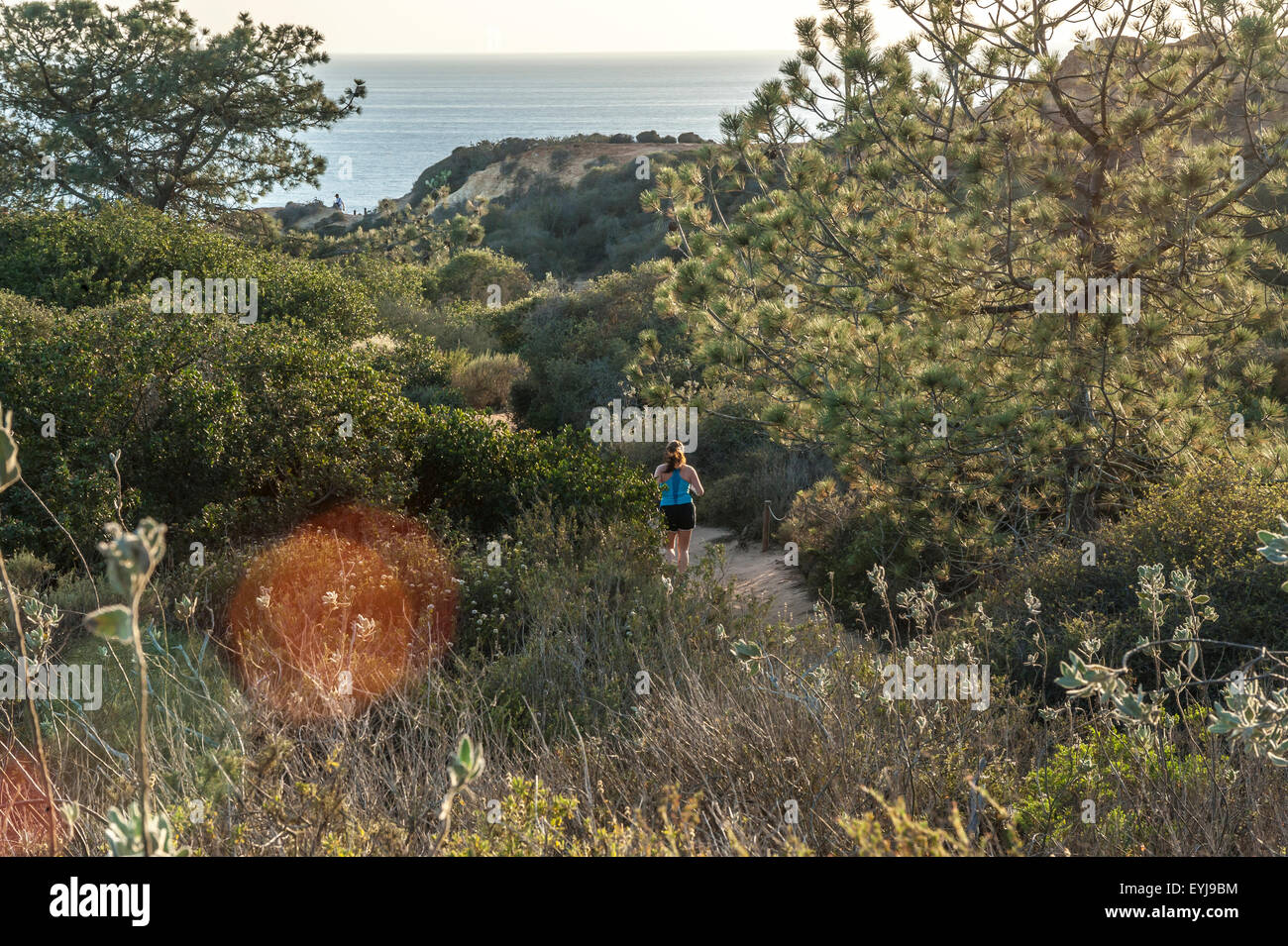 Jogger auf Spuren im Torrey Pines State Park, Kalifornien Stockfoto