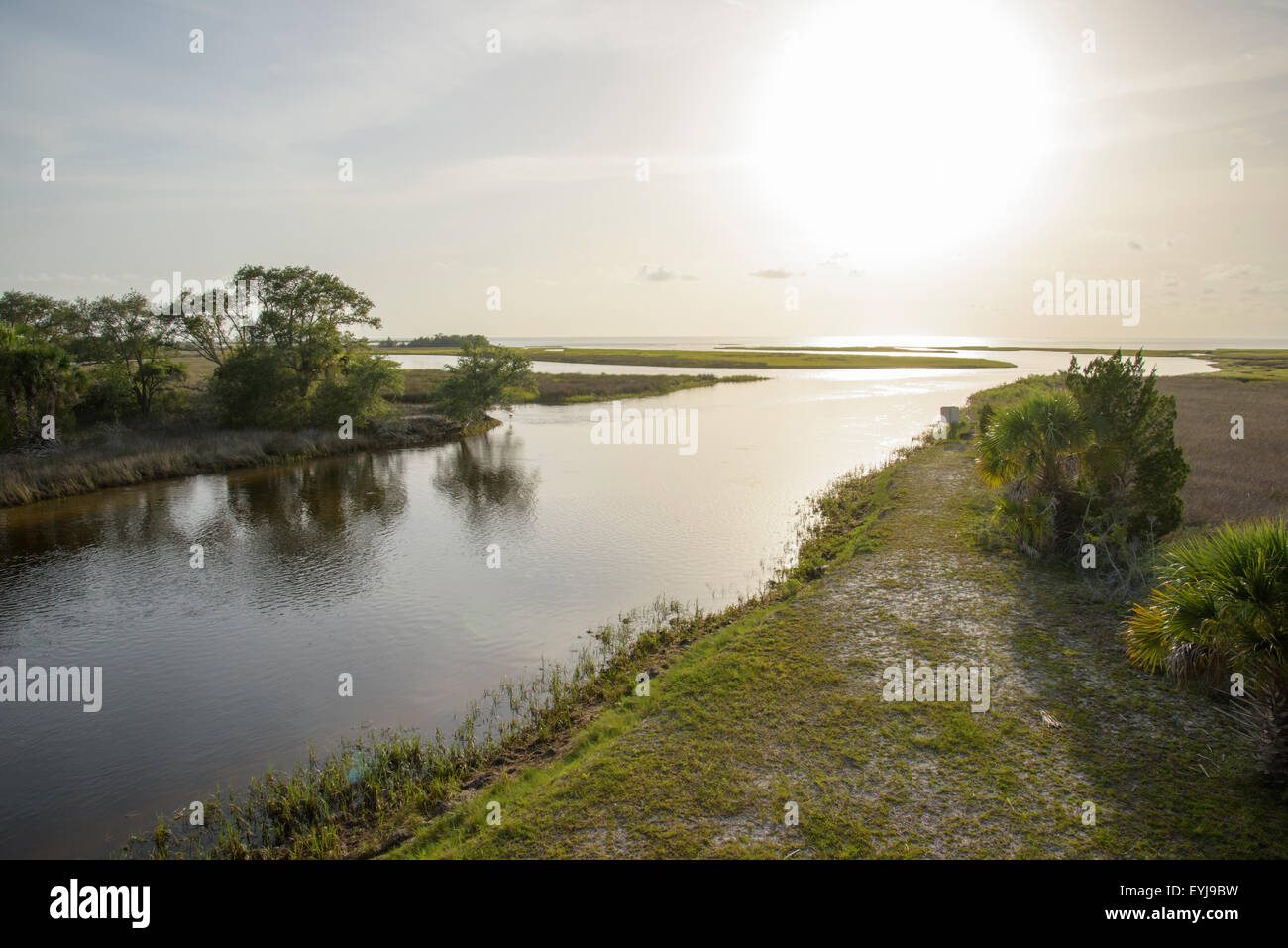 Fish Creek, Big Bend Seegraswiesen Aquatic Preserve, Florida Stockfoto