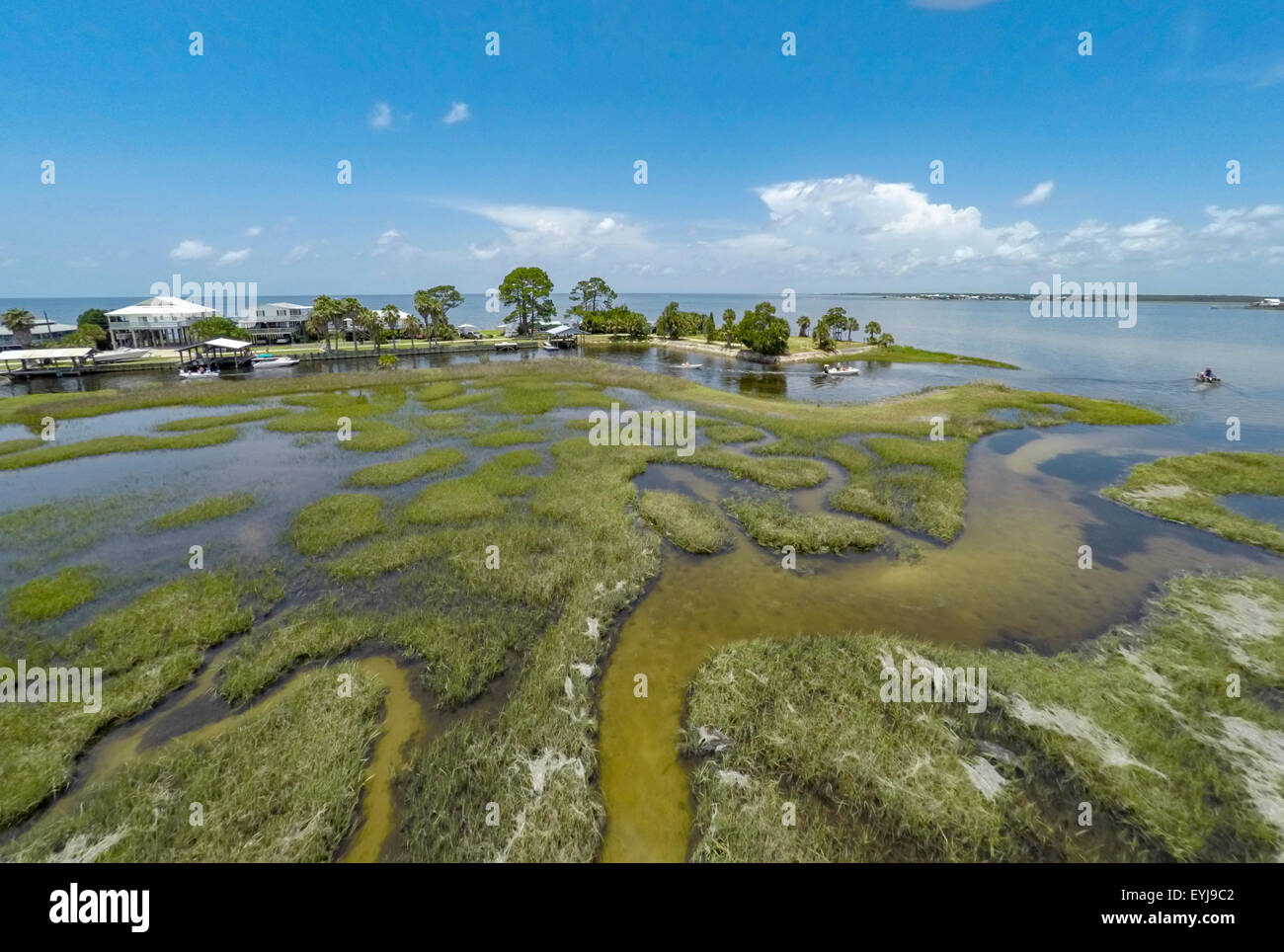 Dark Island, Big Bend Sea Grasses Aquatic Preserve, Florida Stockfoto