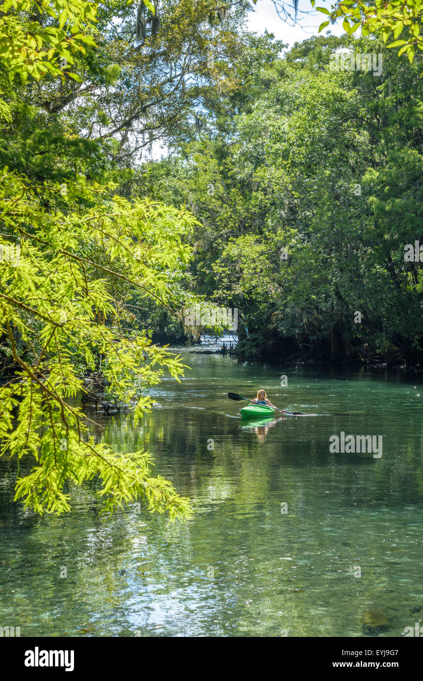 Kajaks am Frühling laufen im Manatee Springs State Park Stockfoto