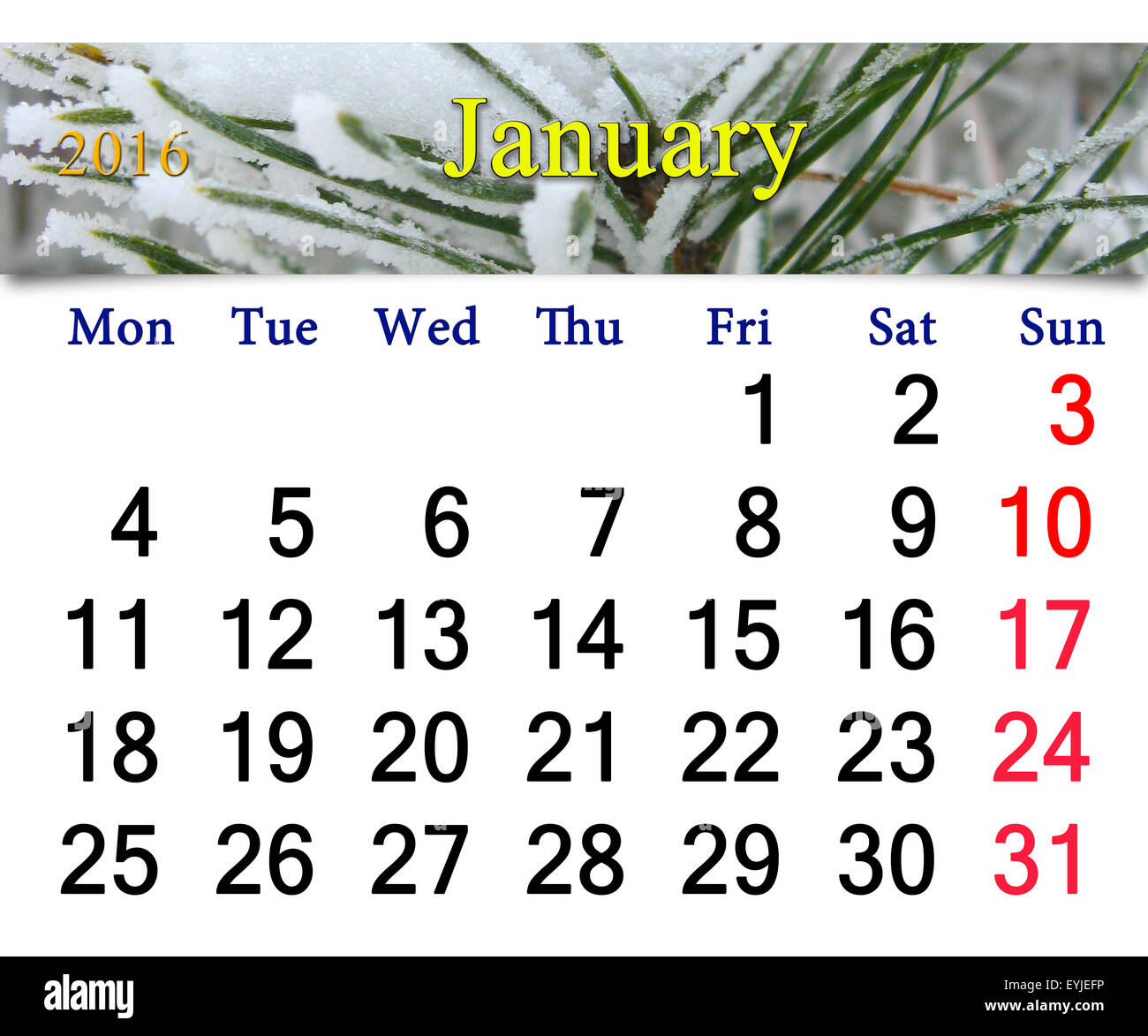 Kalender für Januar 2016 mit verschneiten Tannenzweigen Stockfoto