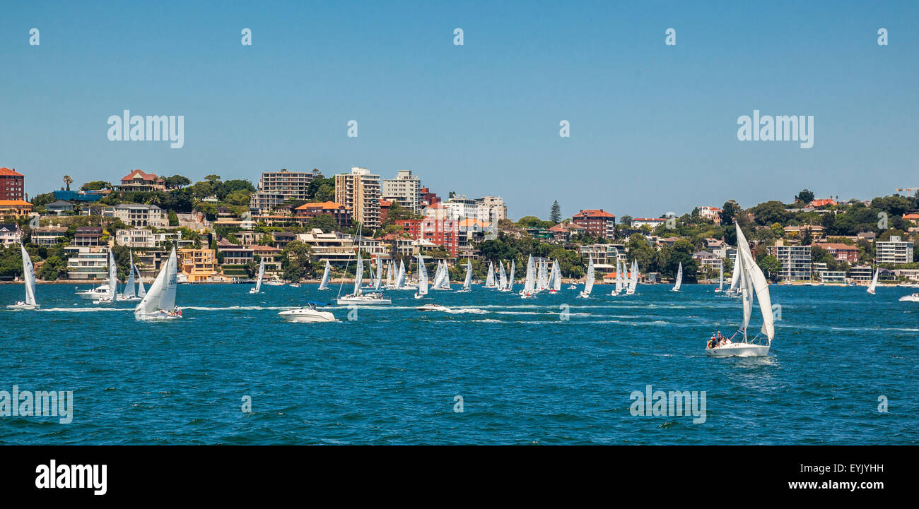 Australien, New South Wales, Sydney Harbour, Segelboote von Double Bay Segelclub bei Point Piper racing Stockfoto