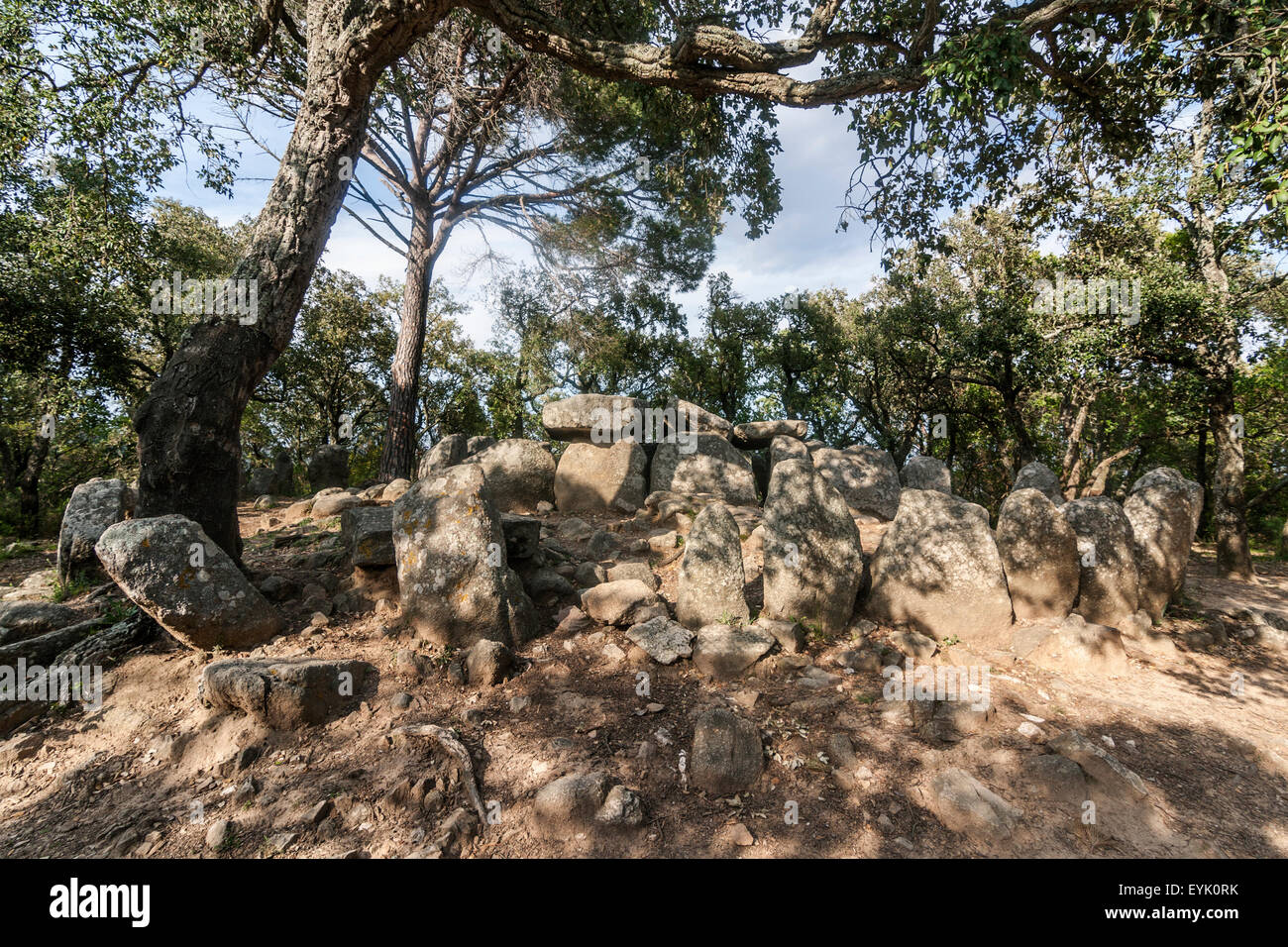 Cova D En Daina Dolmen Romanya De La Selva Stockfotografie Alamy