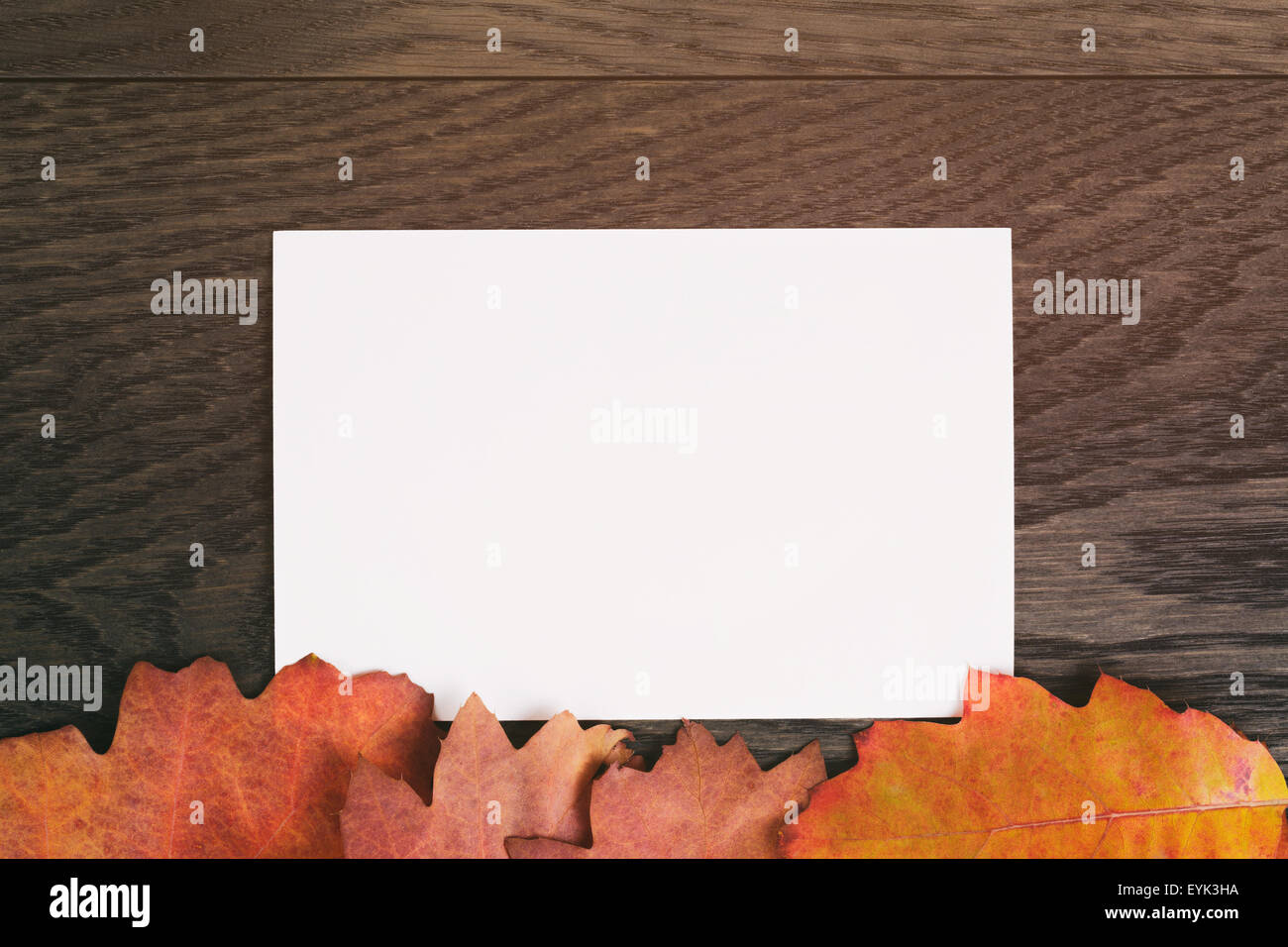 Vintage getönten Hintergrund Eichenlaub Herbst mit Papierkarte Stockfoto