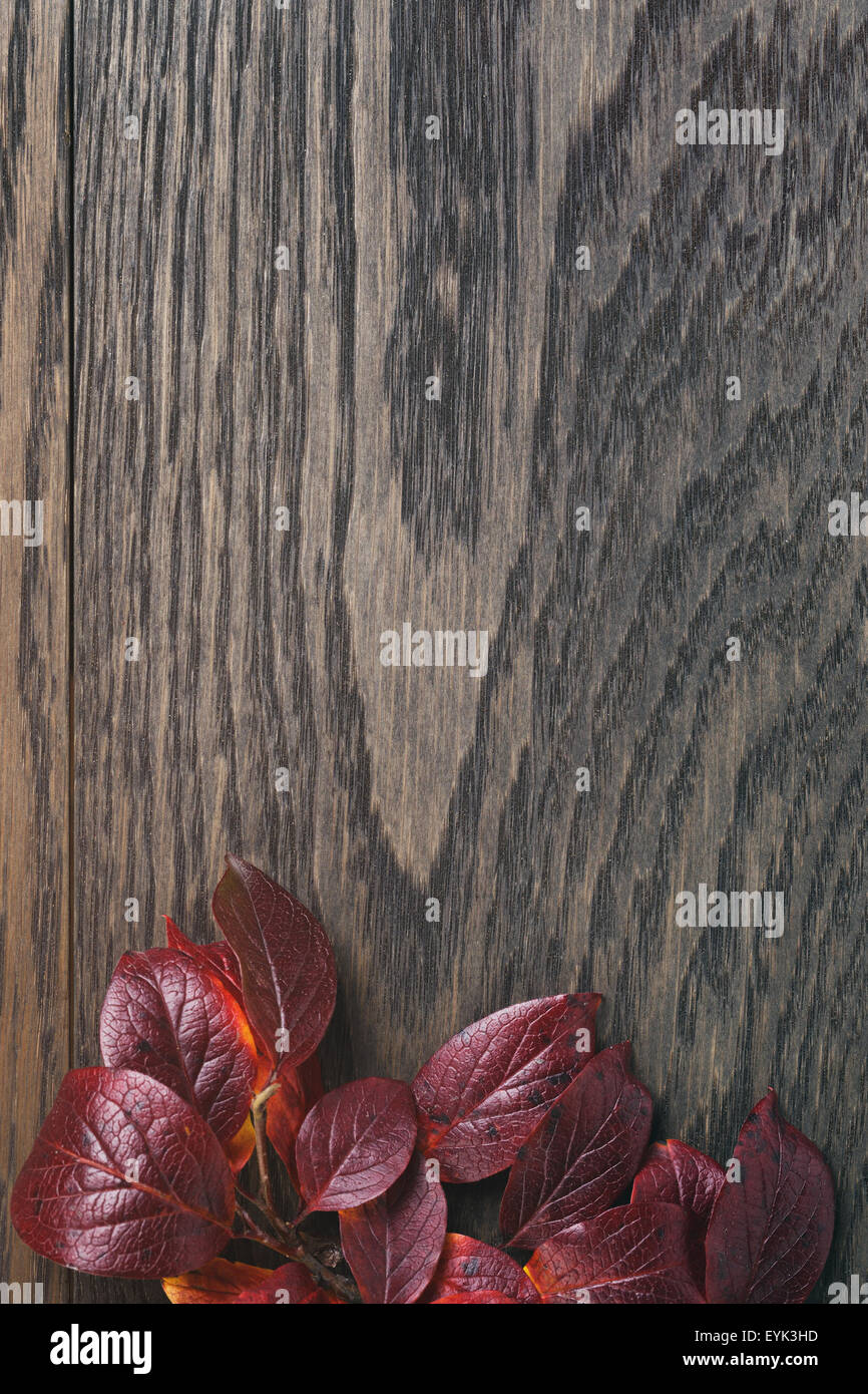 Vintage getönten Foto von Herbstlaub über Holz Tisch Stockfoto