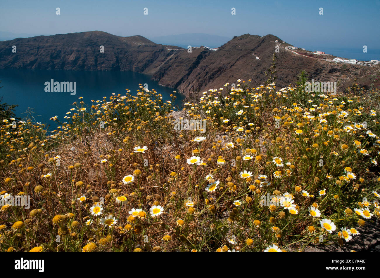 Insel Santorin in der Ägäis ist ein Teil einer Caldera gebildet durch einen großen Vulkanausbruch um 1610 v. Chr. Stockfoto