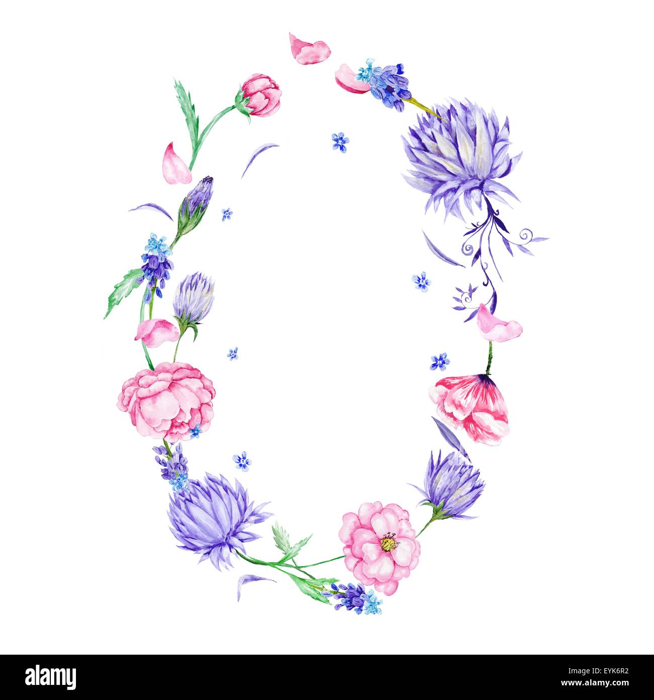Ovale dekorative Bordüre mit Sommerblumen rosa und lila isoliert auf weißem Hintergrund Stockfoto