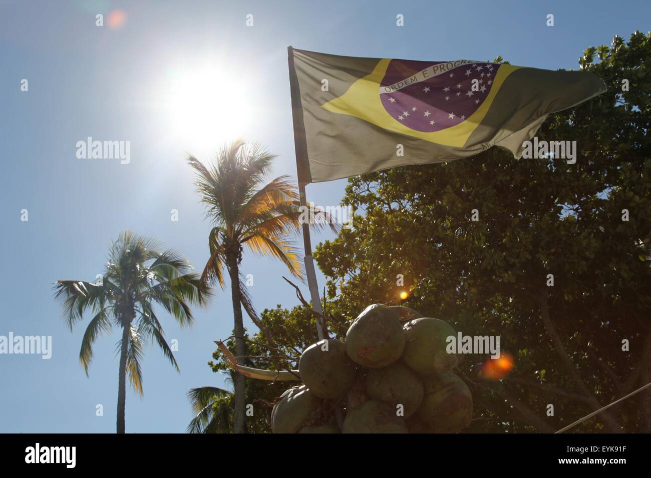 Brasilianische Fahne und Kokosnüsse, Rio De Janeiro, Brasilien Stockfoto