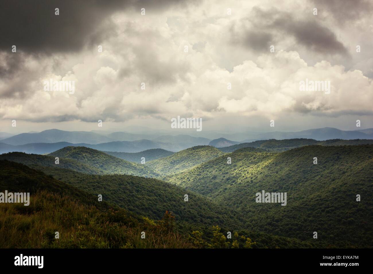 Pisgah National Forest, große Balsam Berge, North Carolina, USA Stockfoto