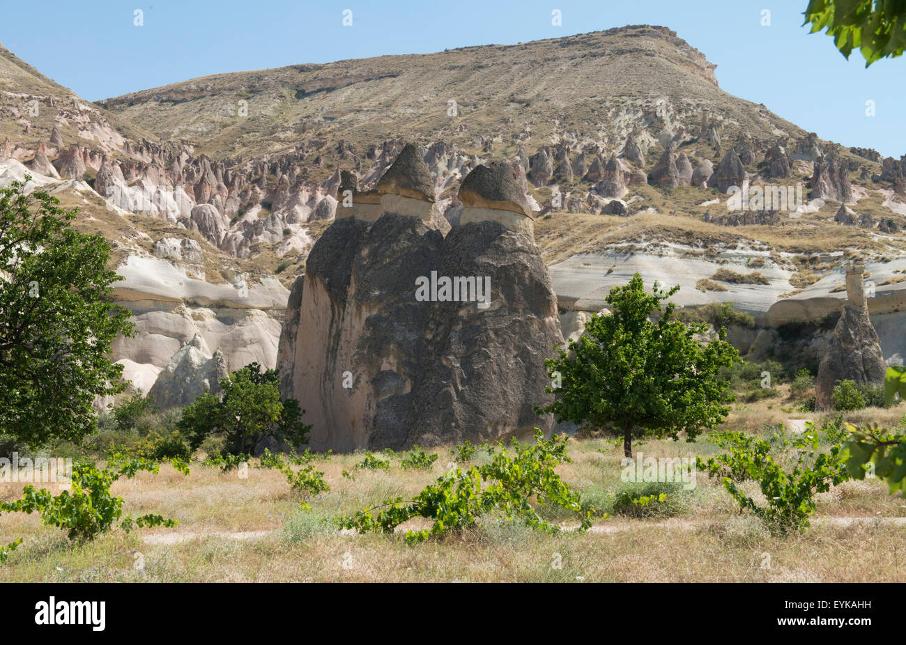 "Liebe das Tal" in Kappadokien, berühmt für seine Felsformationen in phallische Form, Anatolien, Türkei. Stockfoto