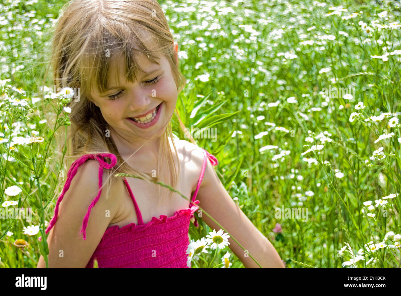 Kleines Mädchen trägt ein rosa Sommerkleid in einem Feld von wilden Gänseblümchen lächelnd. Stockfoto