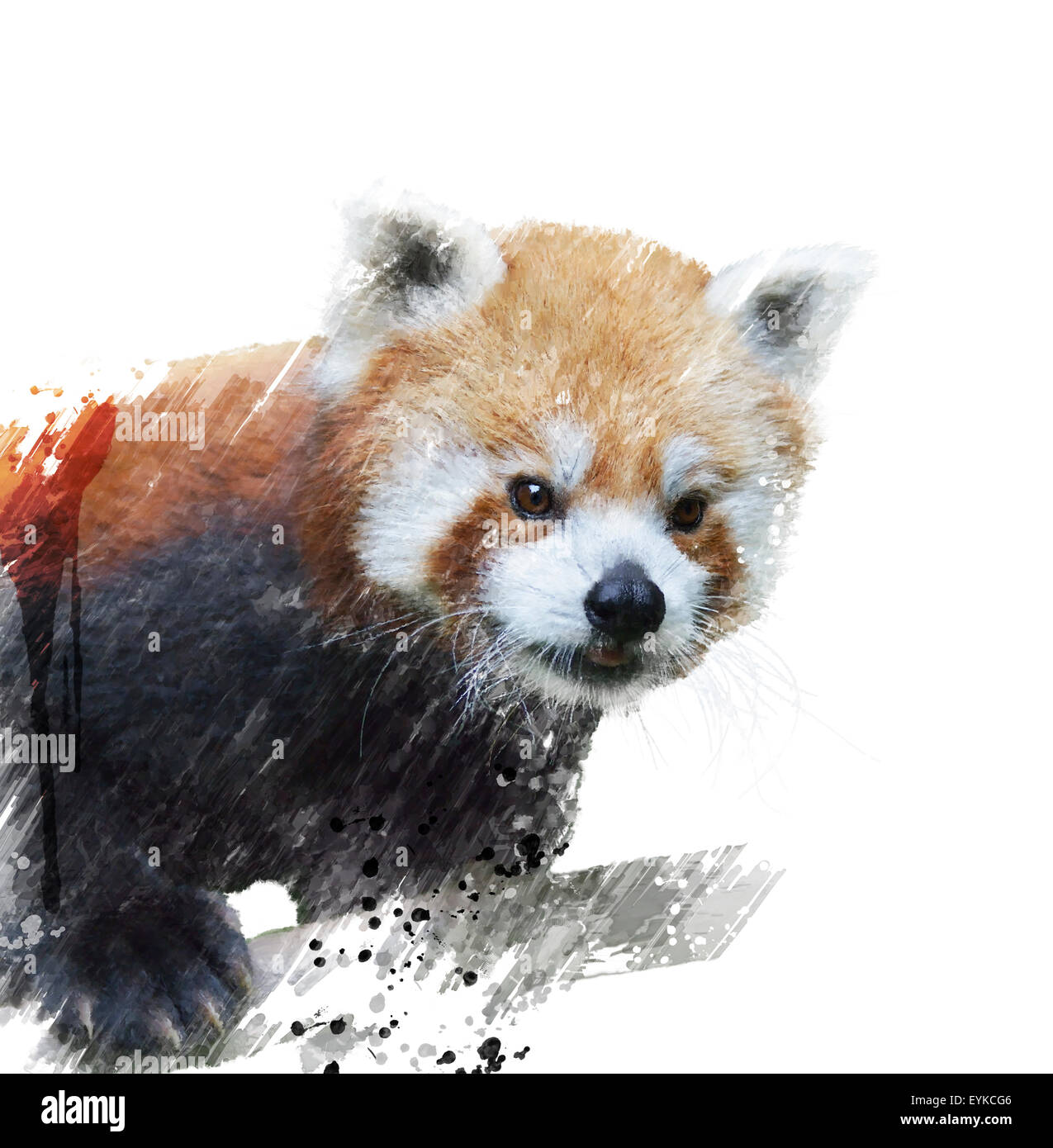 Digitale Malerei von Roter Panda Stockfoto