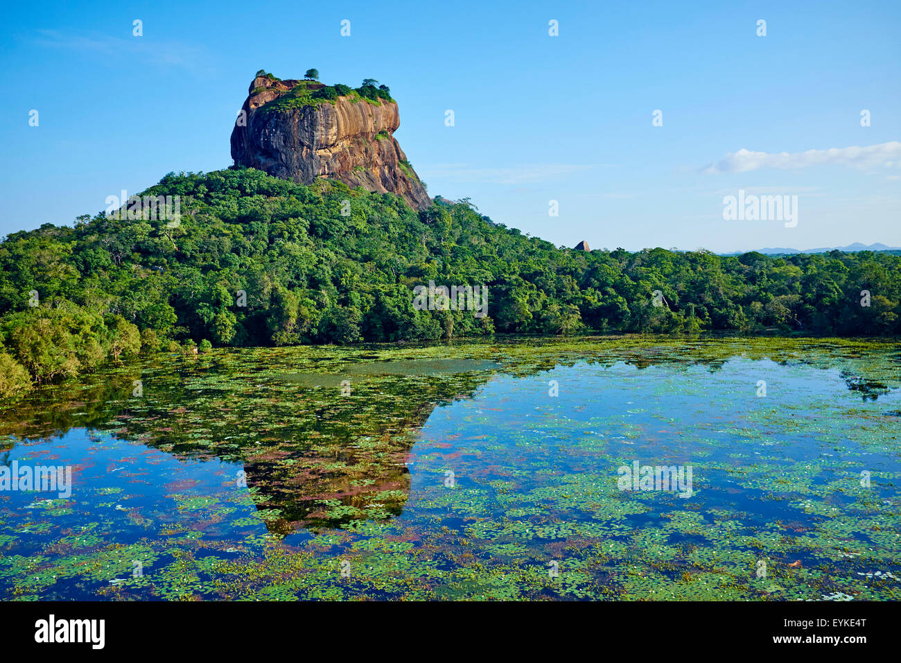 Sri Lanka, Ceylon, North Central Province, Felsenfestung Sigiriya Löwe, UNESCO-Weltkulturerbe 