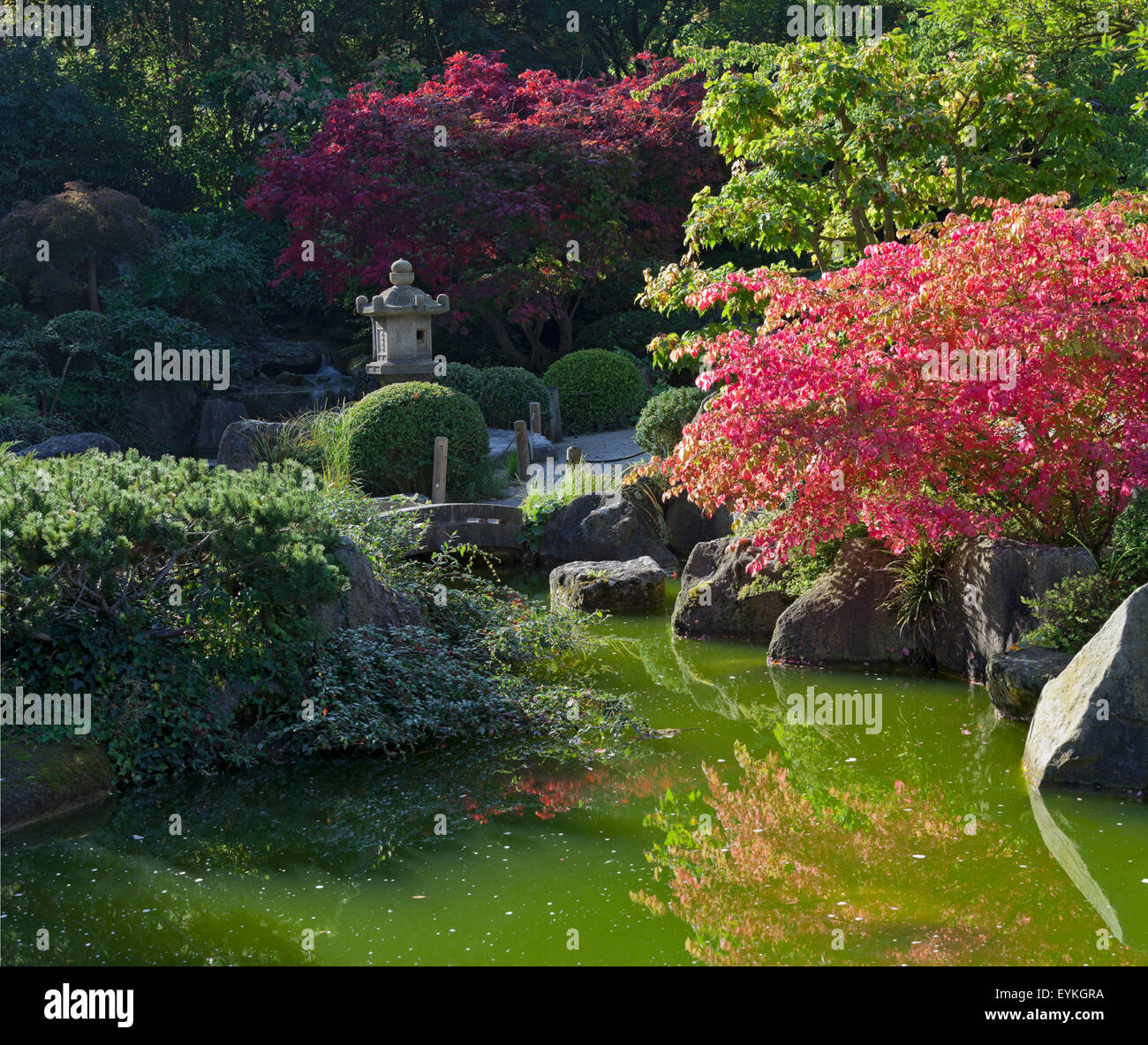 Japanischer Garten Teich Wurzburg Bayern Deutschland Stockfoto