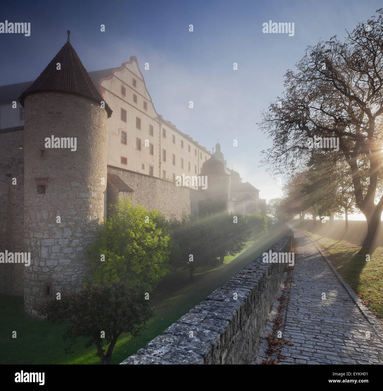 Festung Marienberg bei Nebel, Würzburg, Bayern, Deutschland Stockfoto