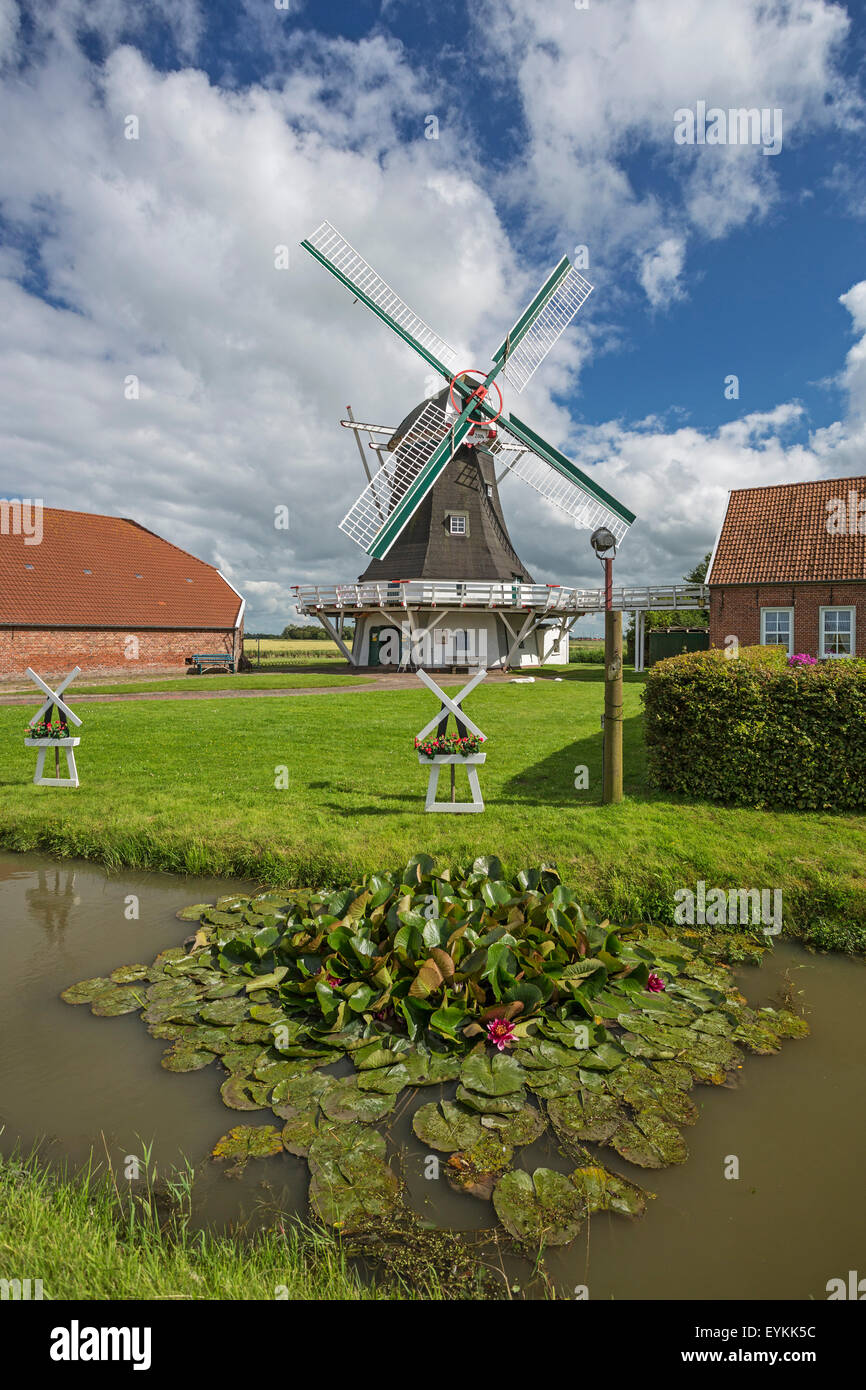 Seriemer Mühle mit Neuharlingersiel, Niedersachsen, Ostfriesland, Harlingerland näht, Stockfoto