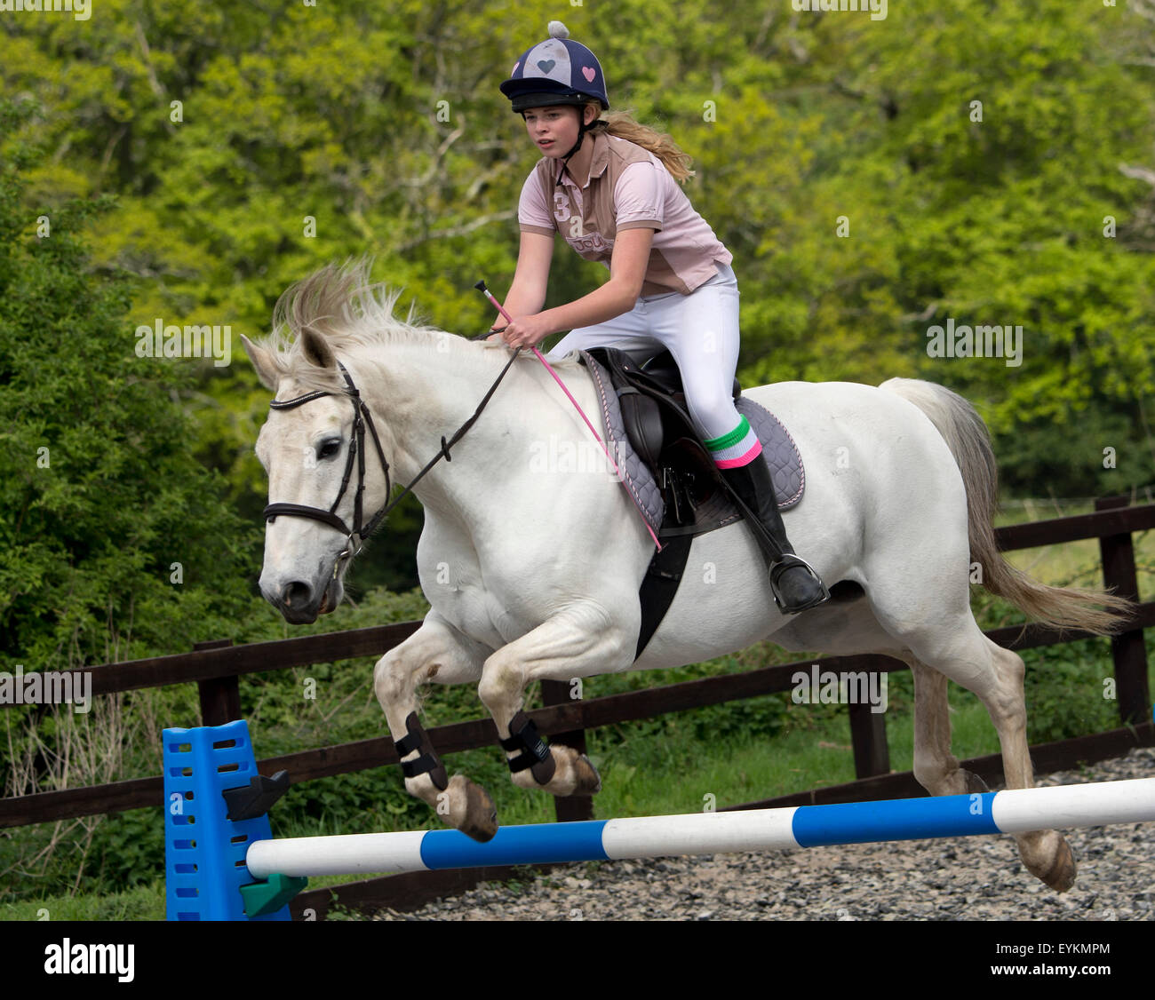 Ella Manning Ausbildung ihres Pferdes "Turner" in einem Springturnier Arena, unterstützt von ihrer Mutter Victoria.a UK riding'white Springpferd " Stockfoto