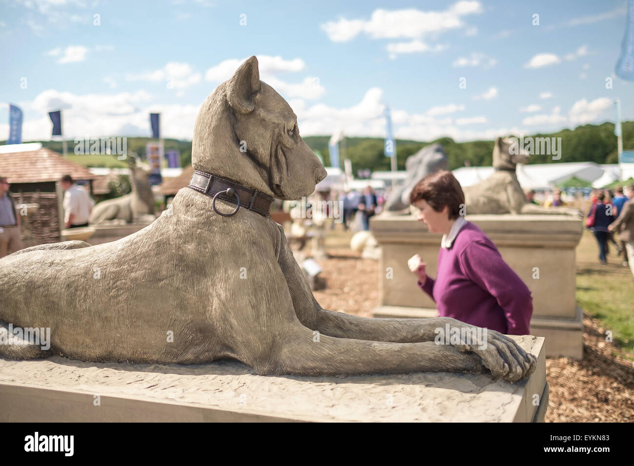 CLA Game Fair 2015 Harewood Stockfoto