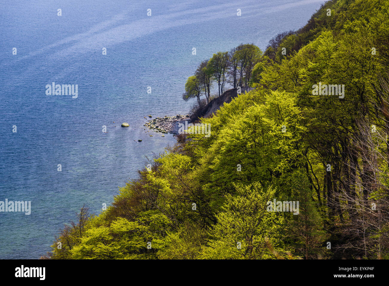 Deutschland, Mecklenburg-Vorpommern, Insel Rügen, Sassnitz, Jasmund Nationalpark, großen Stubbenkammer, Kreide Steilküste, Blick vom Victoria anzeigen Stockfoto